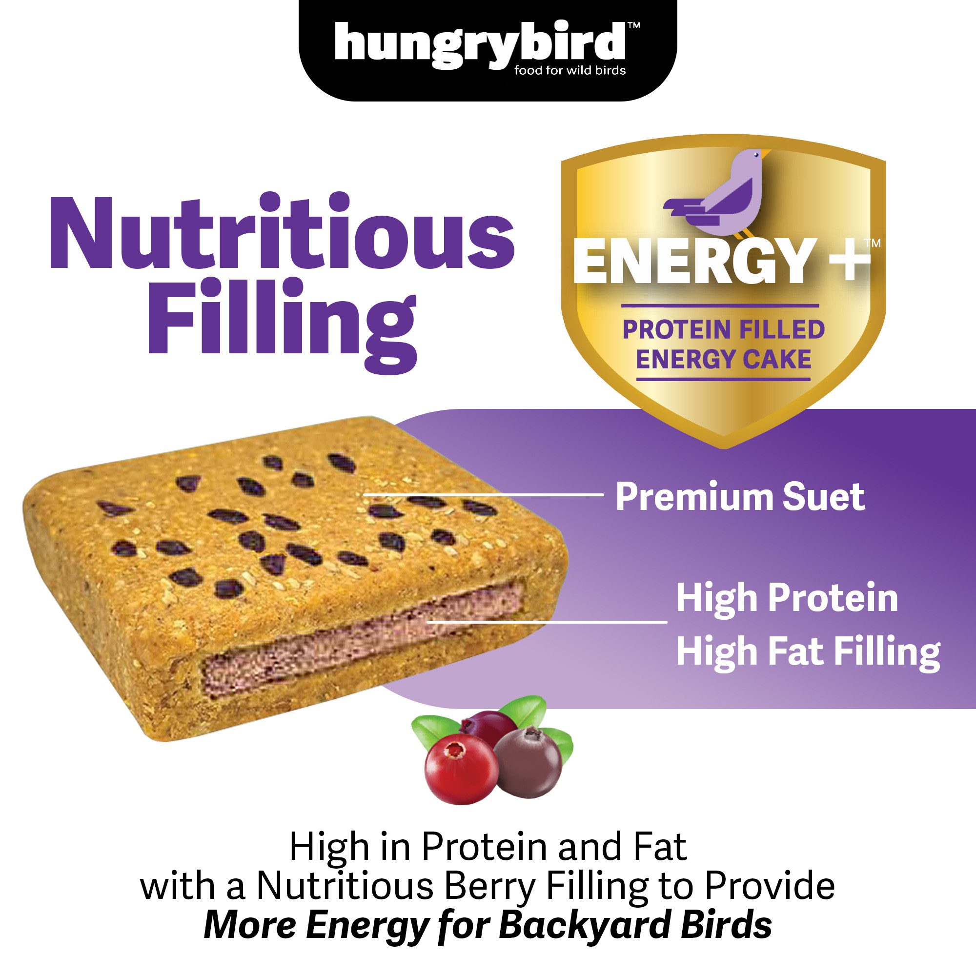 Hungrybird Energy+ No-Melt, High-Protein Suet Cake with Berry Filling for Outside Wild Bird Feeders