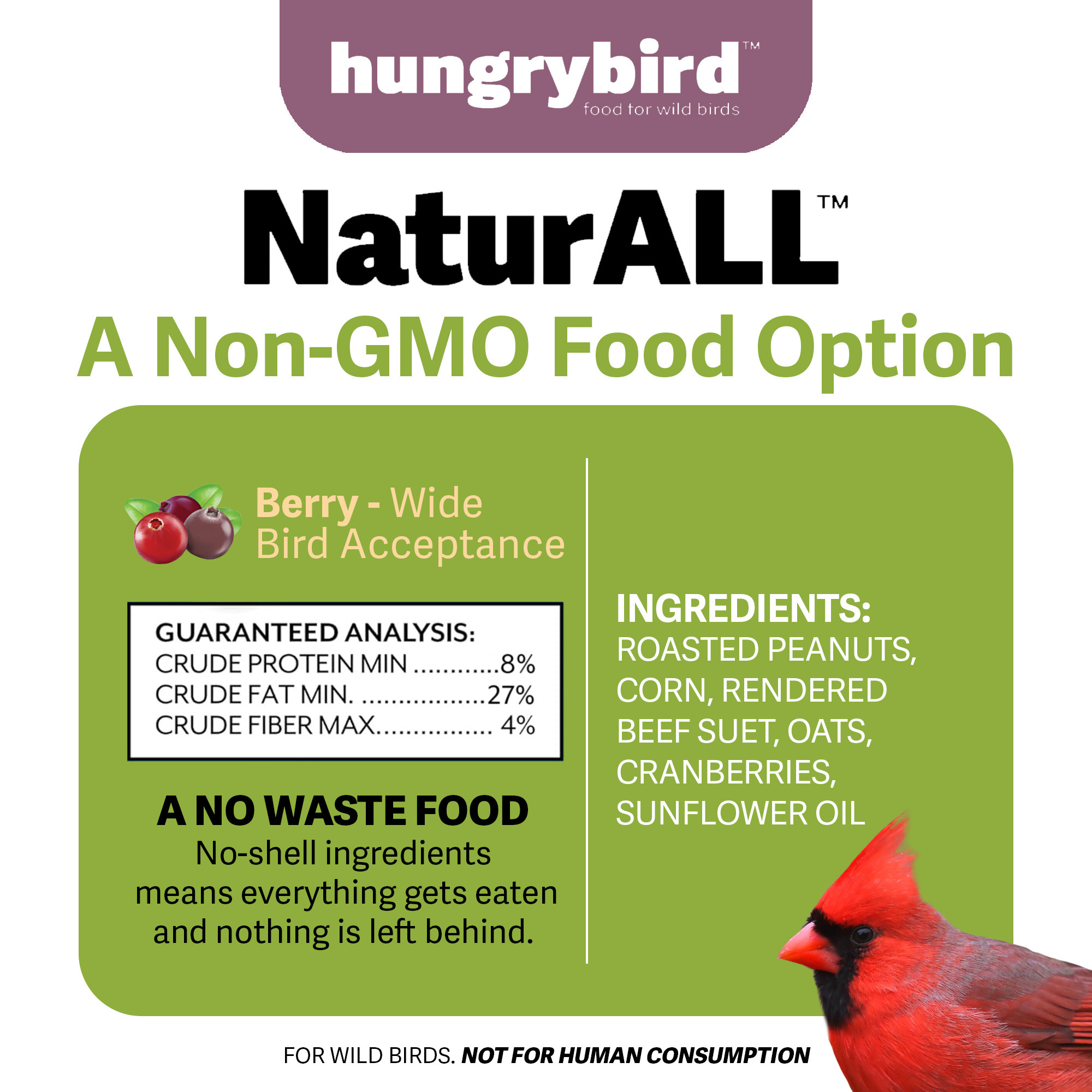 Hungrybird NaturAll Non-GMO, High-Protein Berry Suet Cake for Wild Bird Feeders