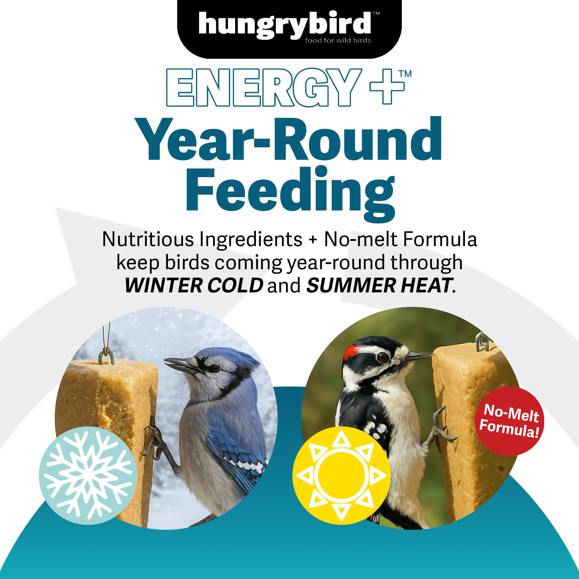 Hungrybird Energy+ High-Protein Suet Bar with Peanut Butter Filling for Outside Wild Birds