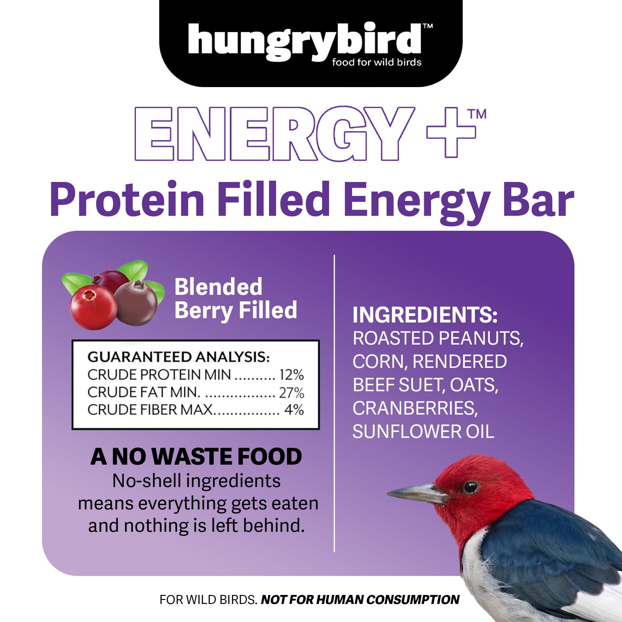 Hungrybird Energy+ High-Protein Suet Bar with Blended Berry Filling for Outside Wild Birds