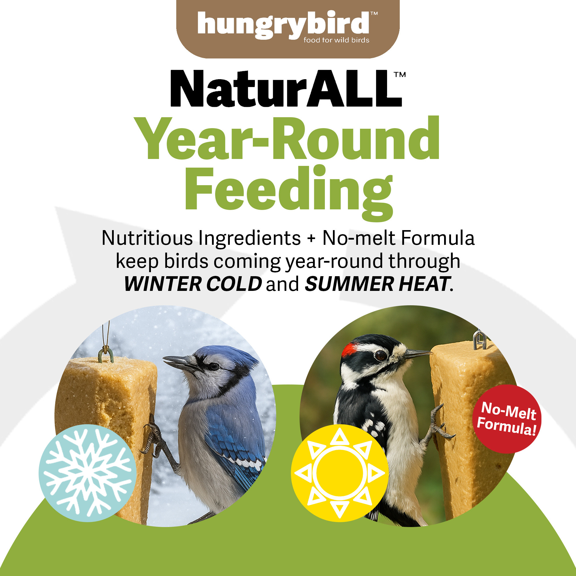Hungrybird NaturAll Non-GMO, High-Protein Suet Bar with Peanut Butter Filling for Outside Wild Birds