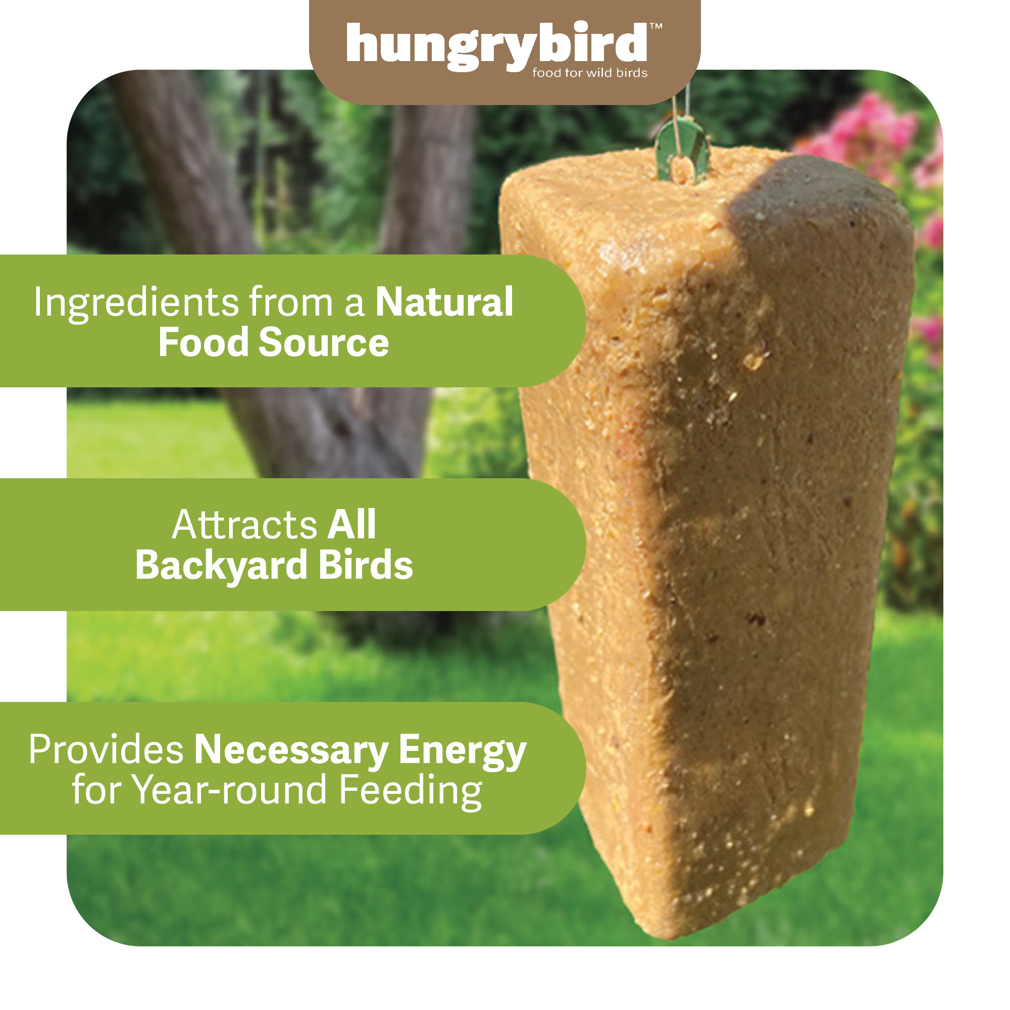 Hungrybird NaturAll Non-GMO, High-Protein Suet Bar with Peanut Butter Filling for Outside Wild Birds