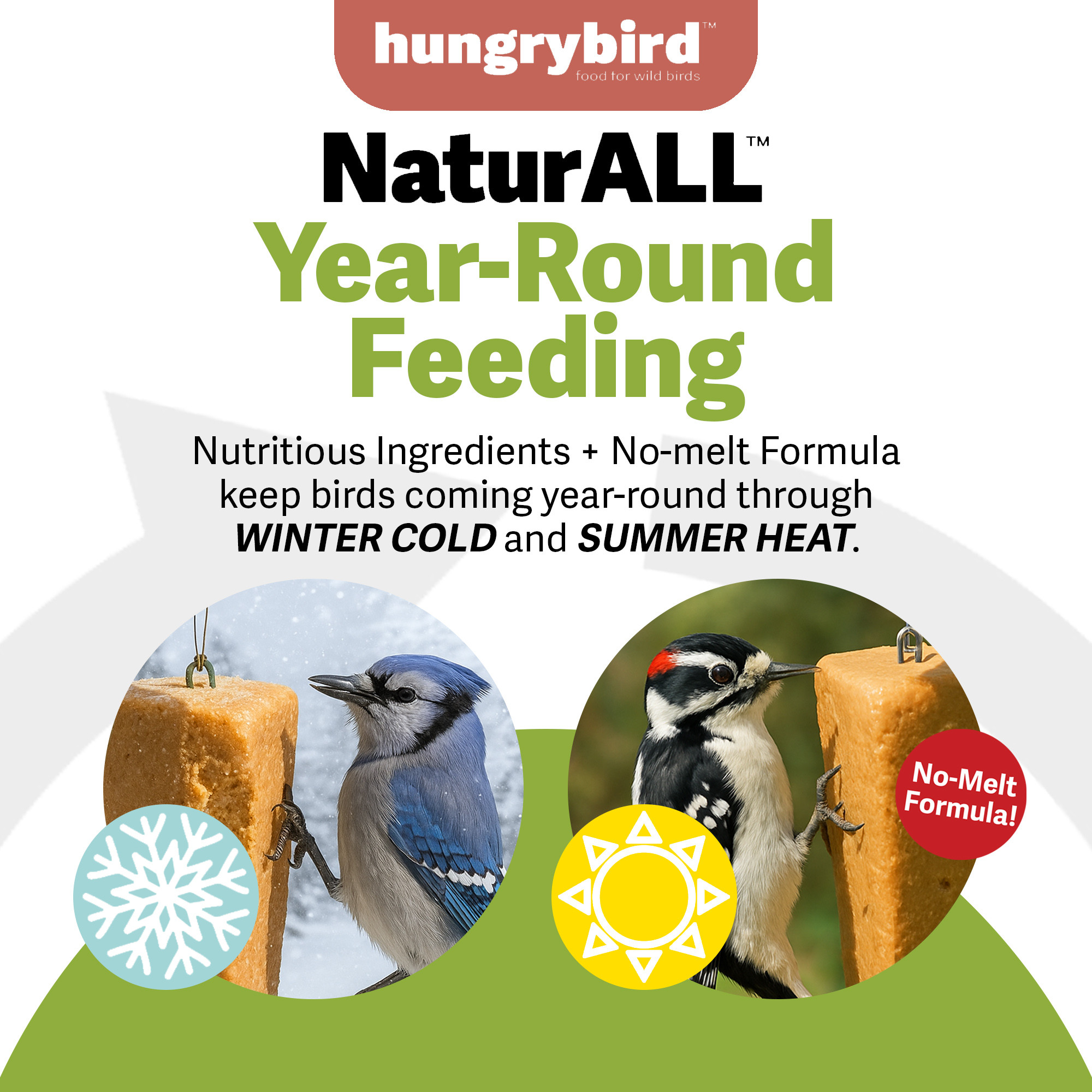 Hungrybird NaturAll Non-GMO, High-Protein Suet Bar with Hot Pepper Filling for Outside Wild Birds