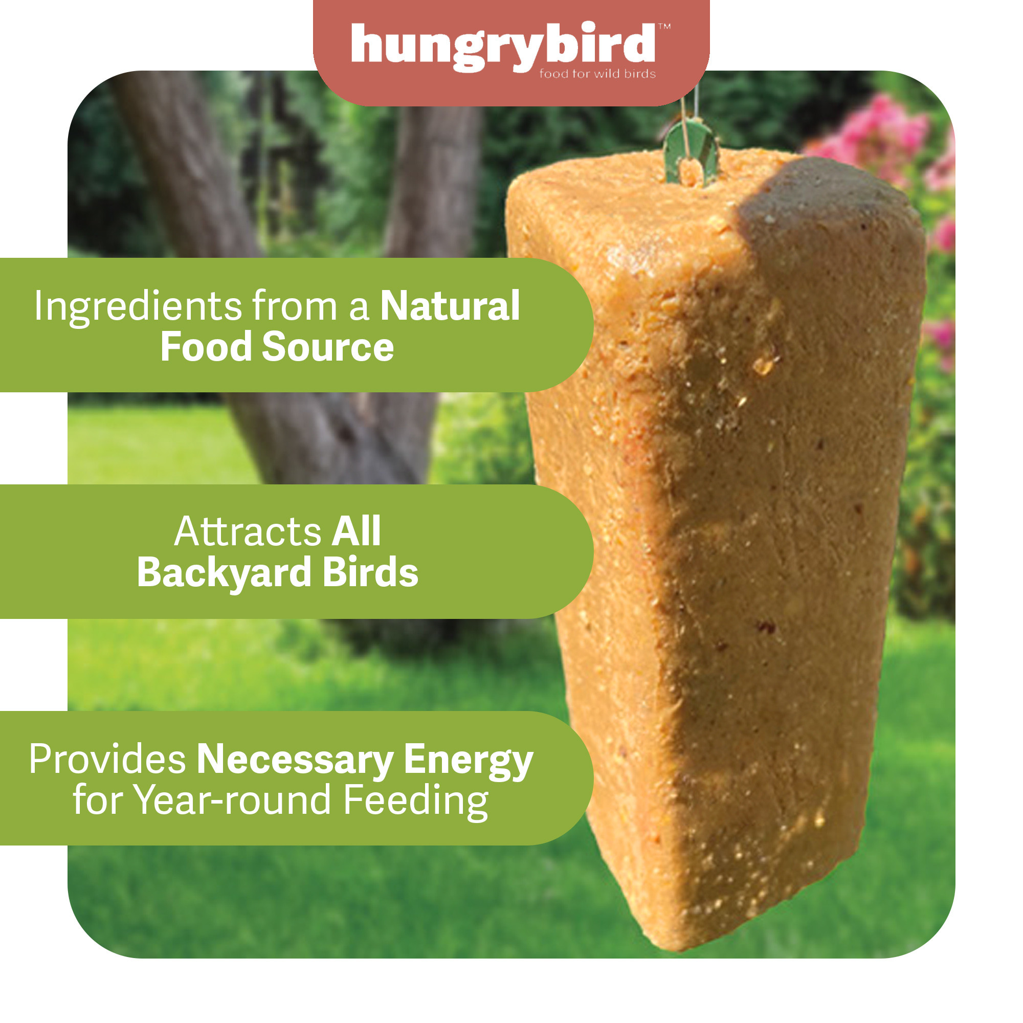 Hungrybird NaturAll Non-GMO, High-Protein Suet Bar with Hot Pepper Filling