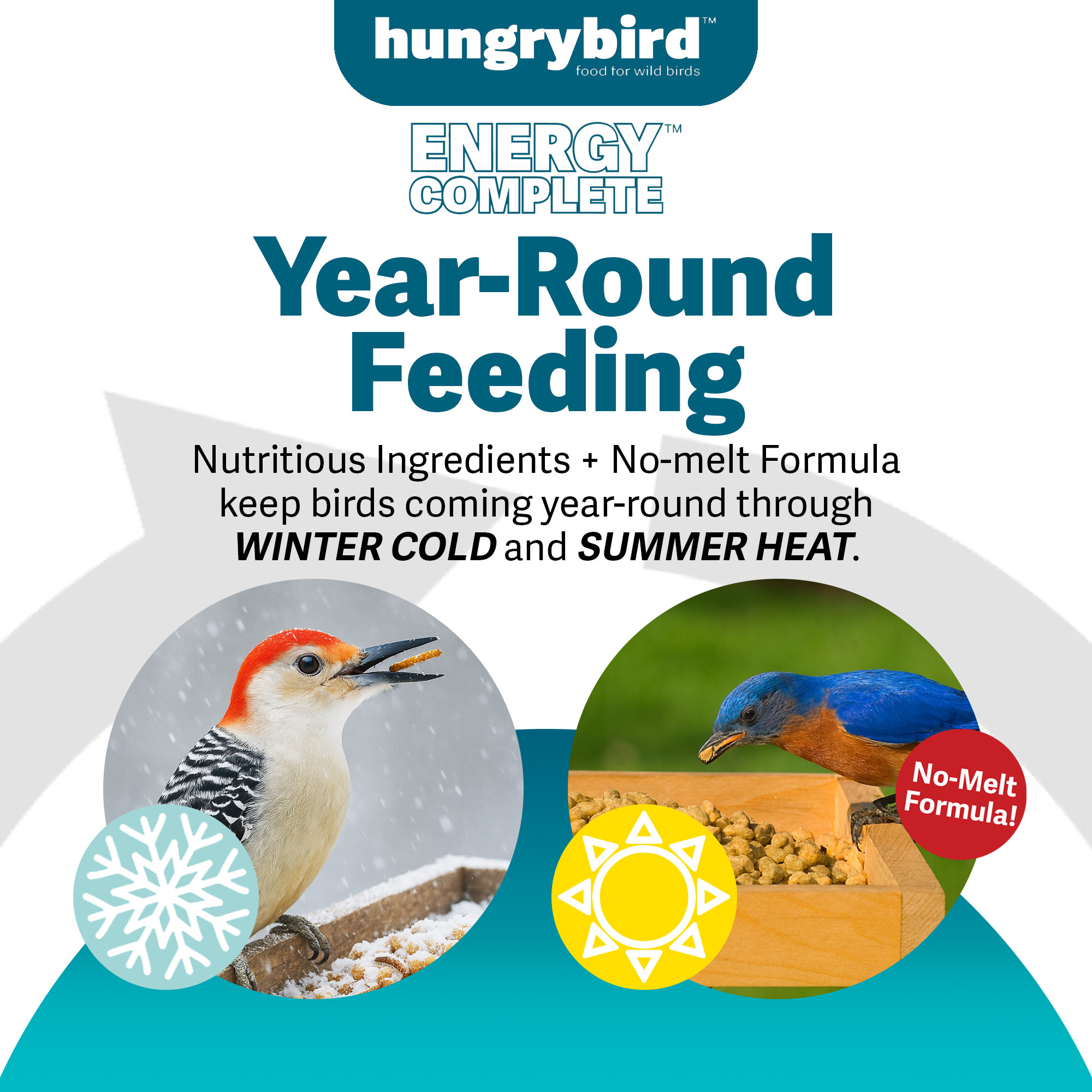 Hungrybird Energy Complete, 3lb - High-Protein Peanut Butter Suet Bites for Outside Wild Birds