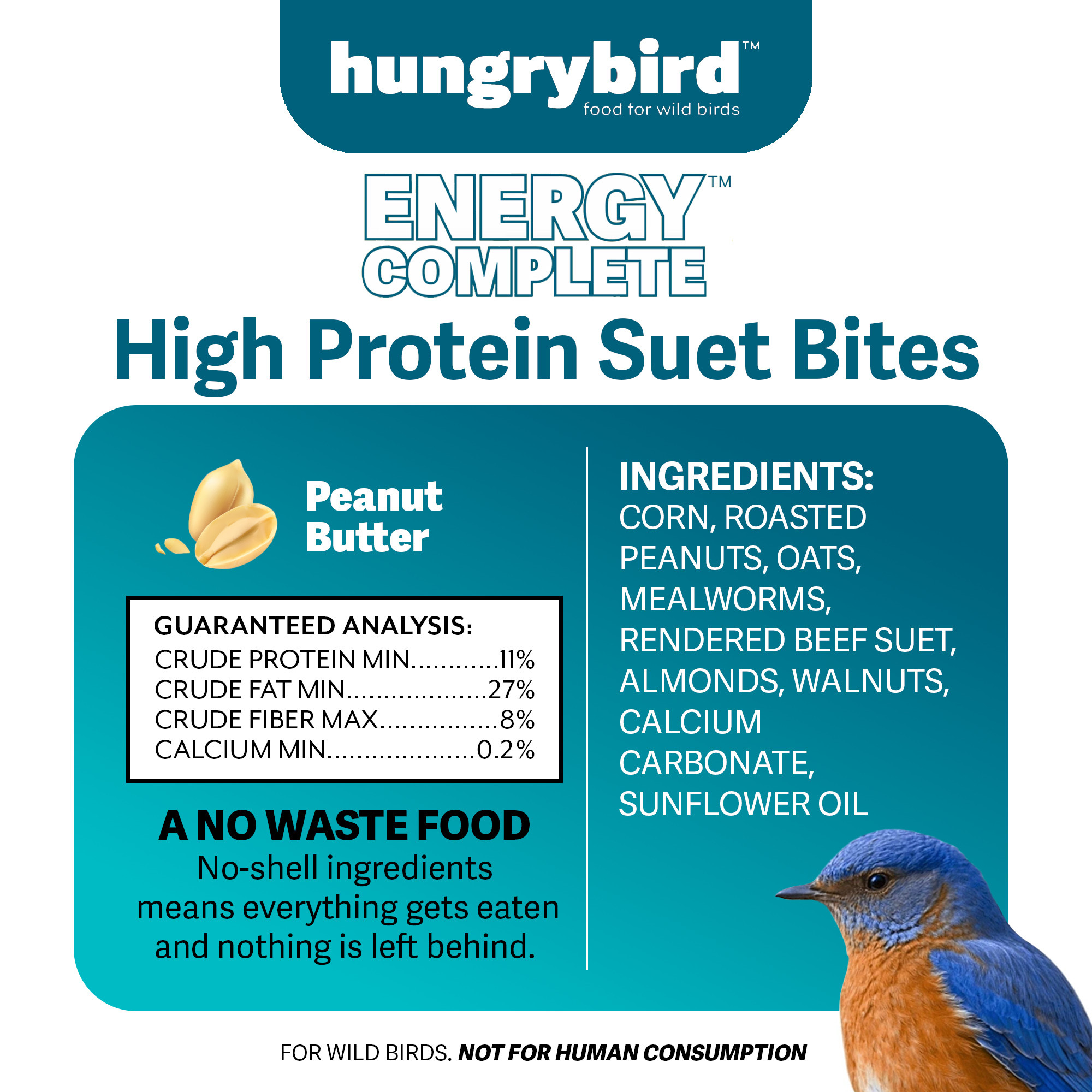 Hungrybird Energy Complete, 3lb - High-Protein Peanut Butter Suet Bites