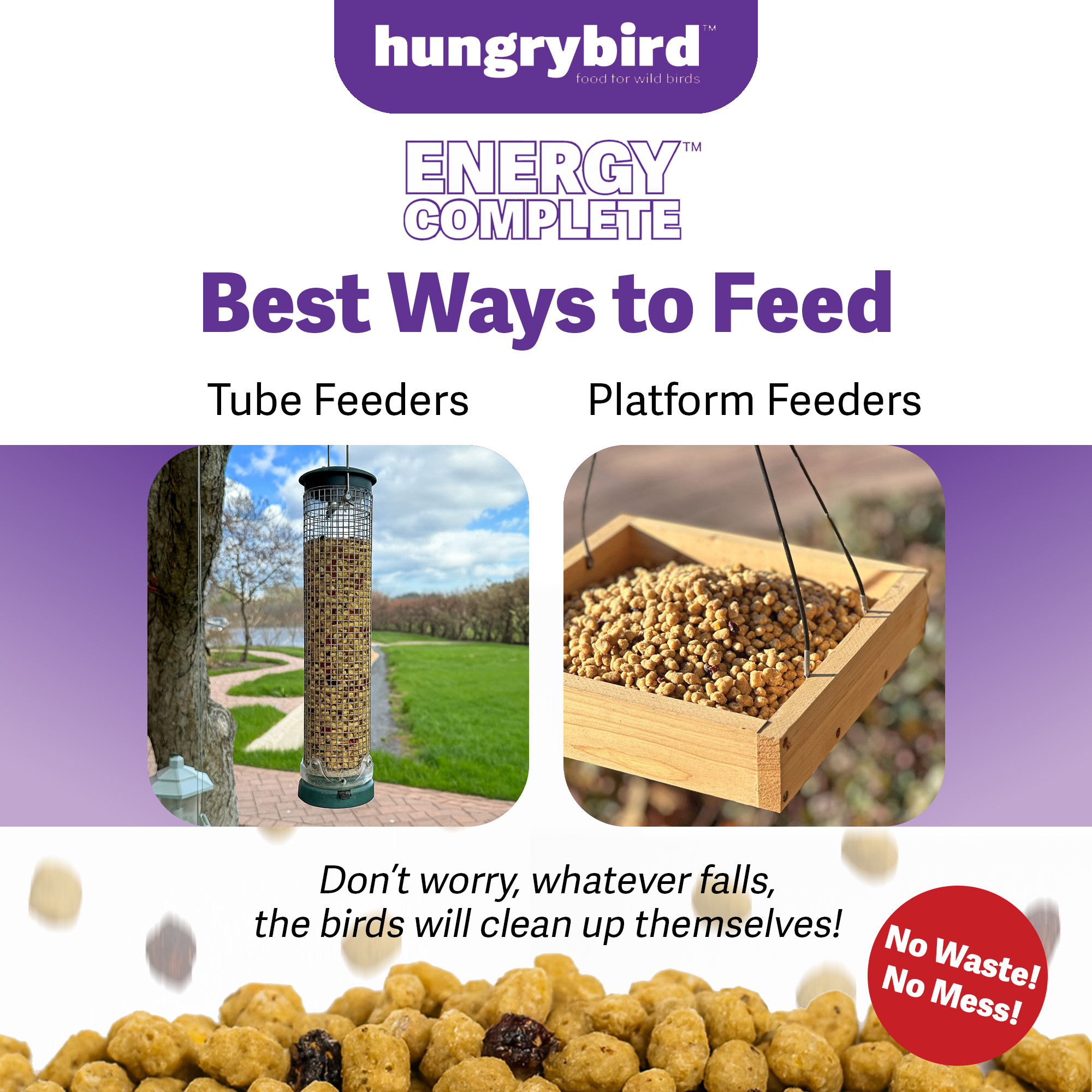 Hungrybird Energy Complete, 3lb - High-Protein Blended Berry Suet Bites for Outside Wild Bird