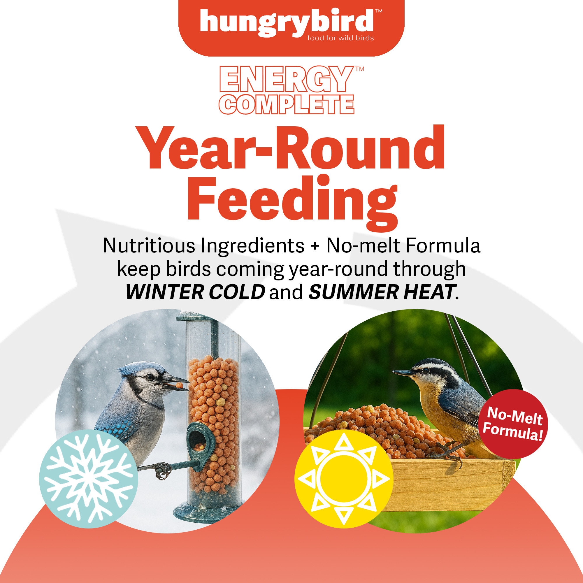 Hungrybird Energy Complete, 3lbs - High-Protein Hot Pepper Suet Bites for Outside Wild Birds