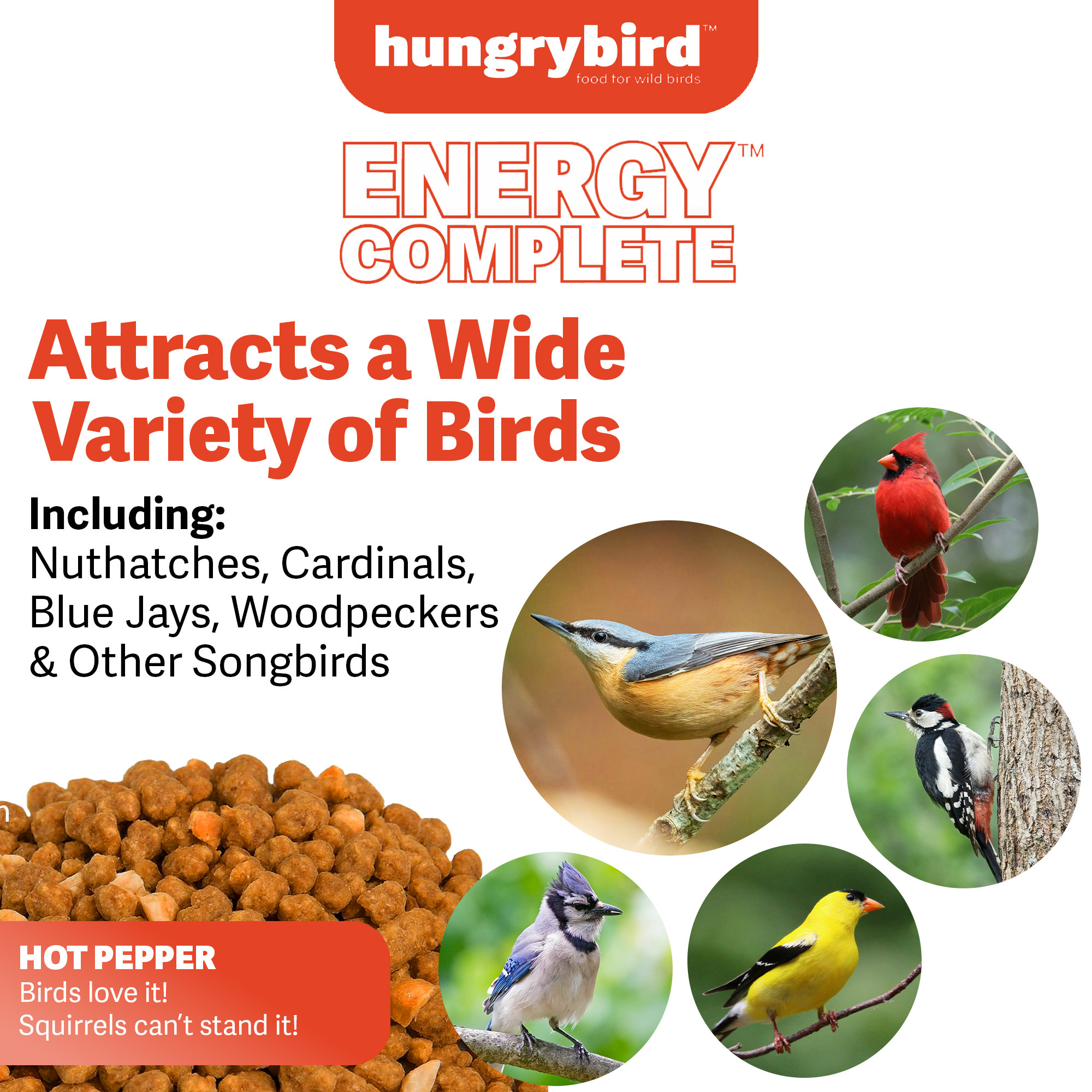 Hungrybird Energy Complete, 3lbs - High-Protein Hot Pepper Suet Bites for Outside Wild Birds