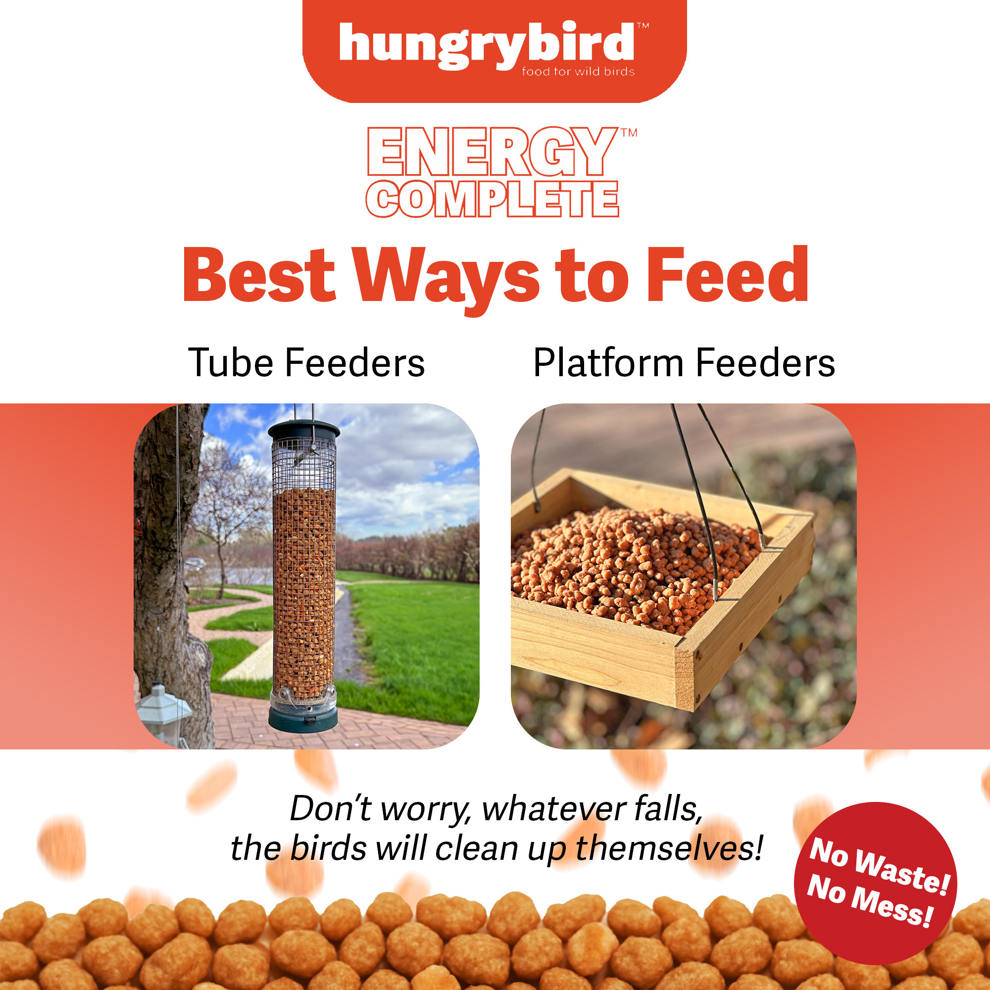 Hungrybird Energy Complete, 3lbs - High-Protein Hot Pepper Suet Bites for Outside Wild Birds