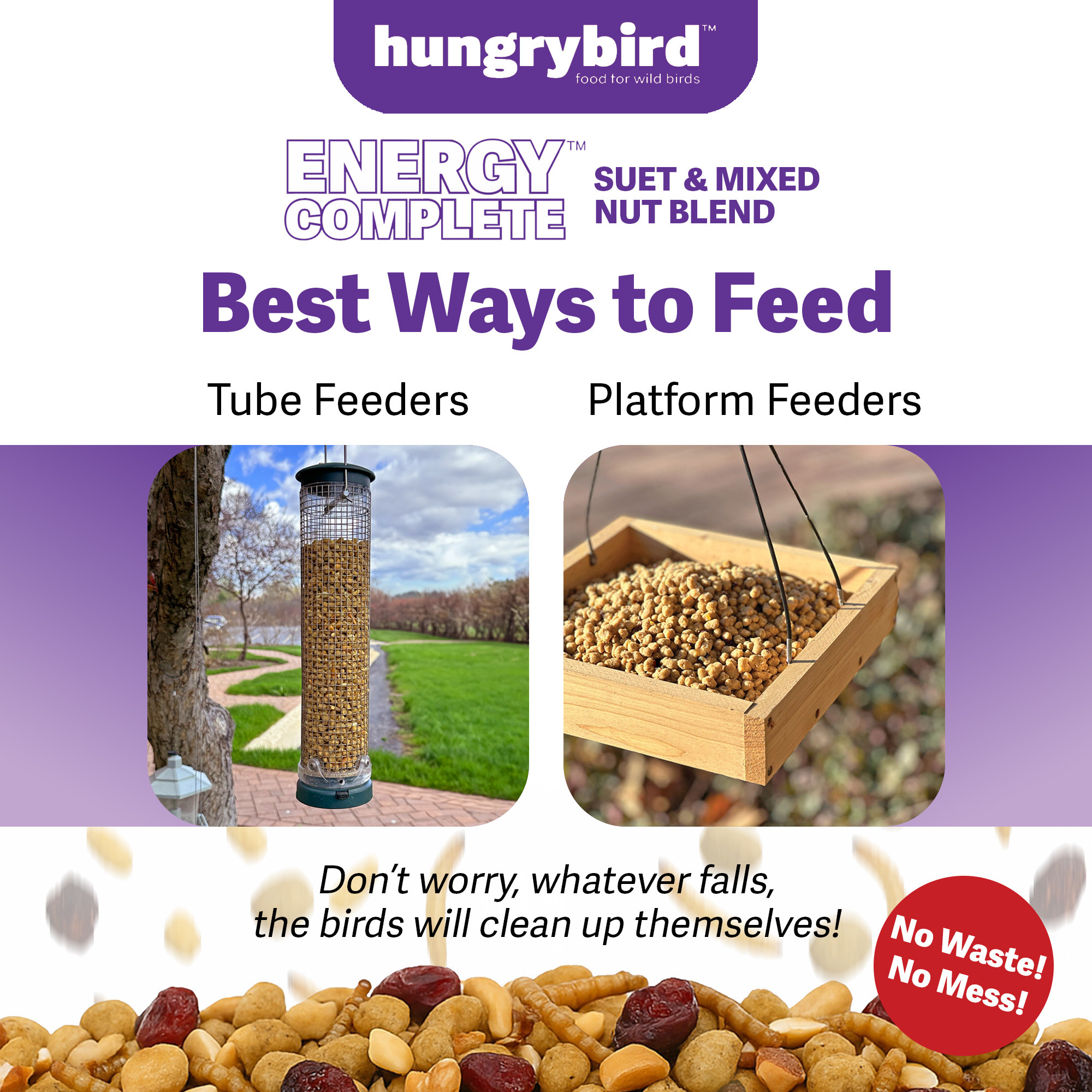 Hungrybird Energy Complete Diet, 7lb - All-Season Blended Berry Suet & Mixed Nut Blend for Wild Birds