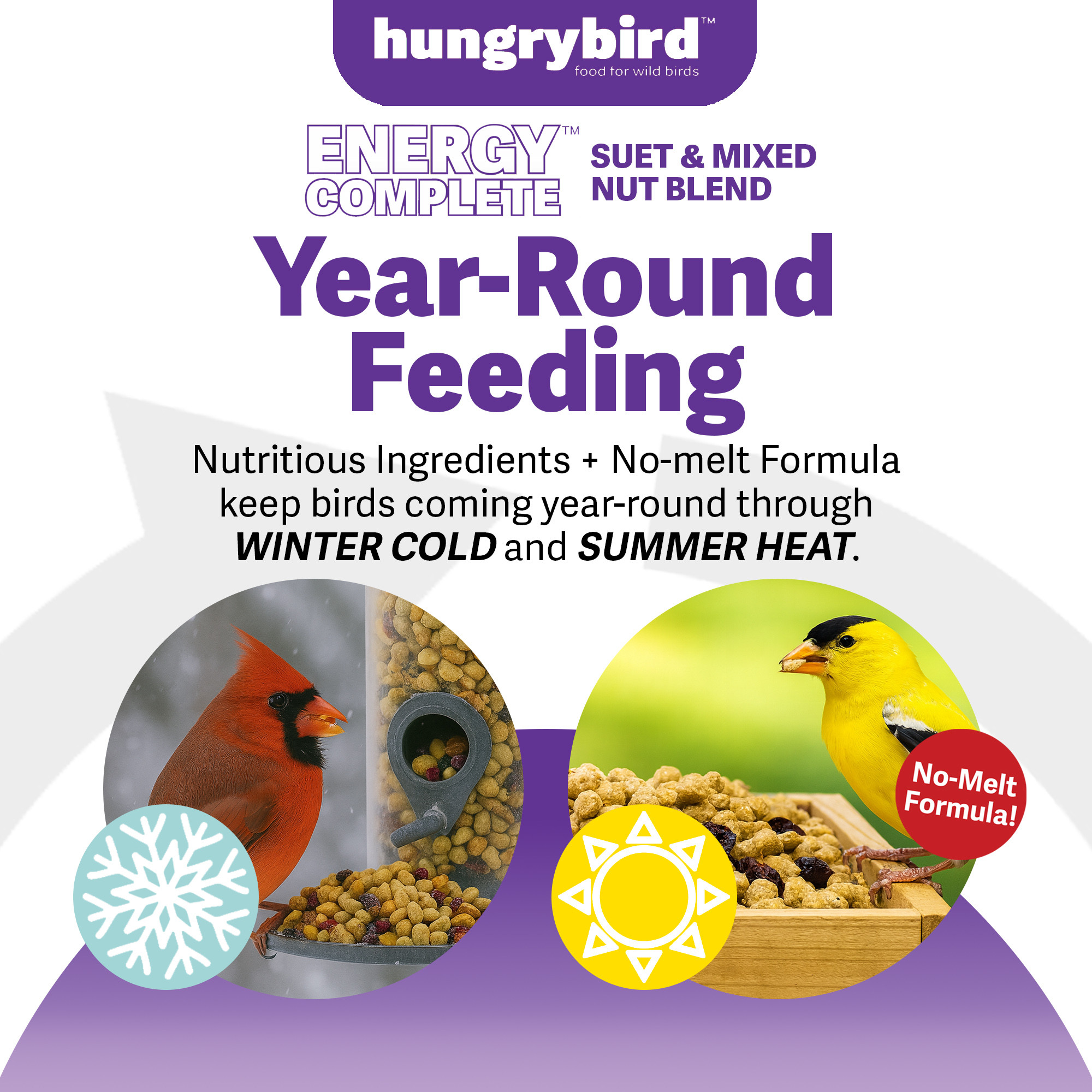 Hungrybird Energy Complete Diet, All-Season Blended Berry Suet & Mixed Nut, 7lb