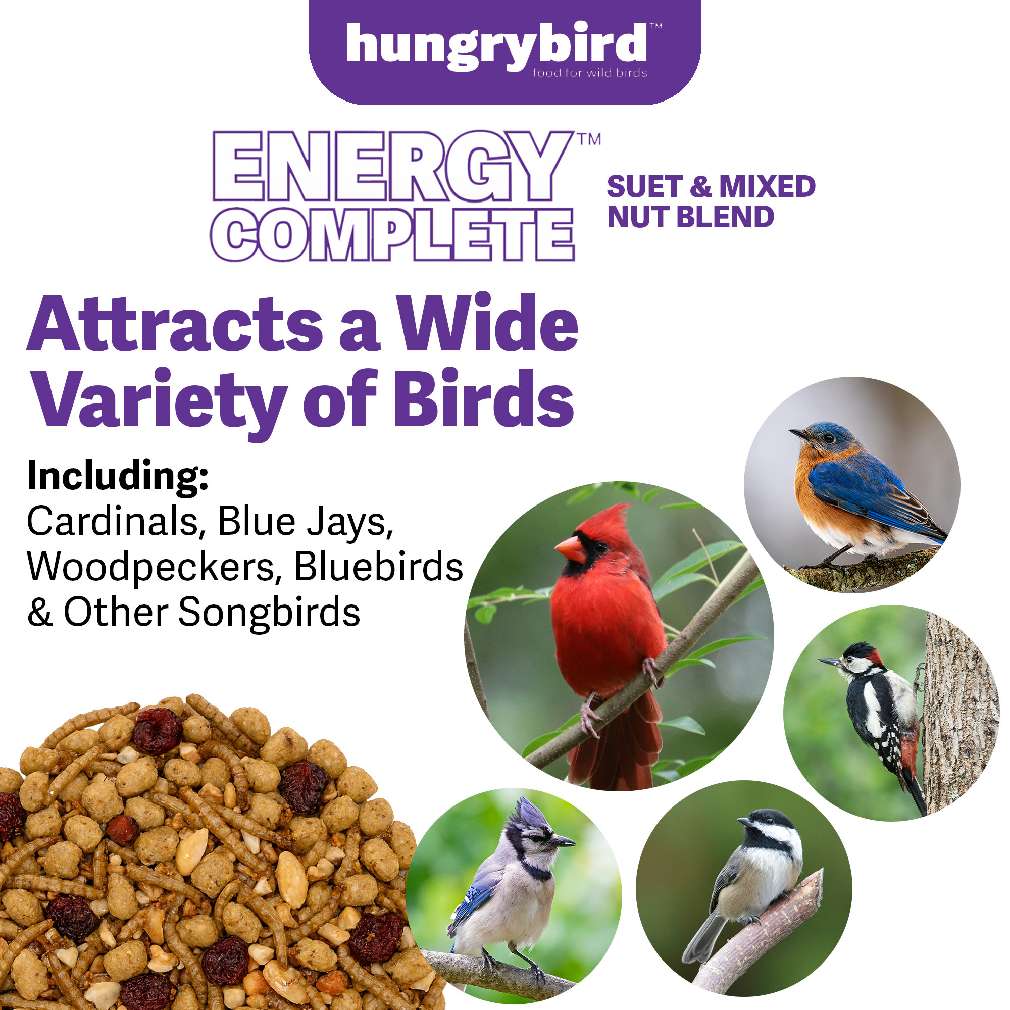Hungrybird Energy Complete Diet, All-Season Blended Berry Suet & Mixed Nut, 7lb