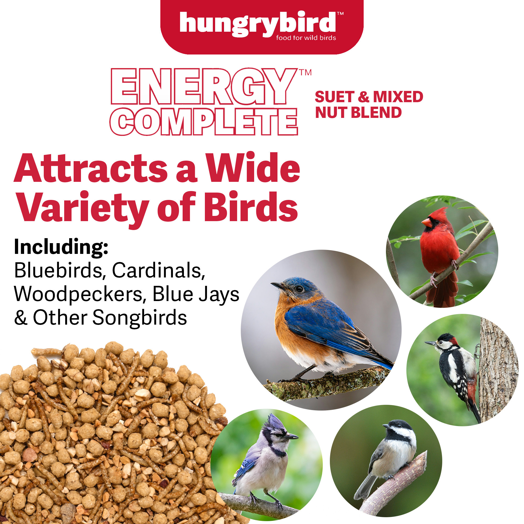Hungrybird Energy Complete Diet, 7lb - All-Season Mealworm Suet & Mixed Nut Blend for Wild Birds