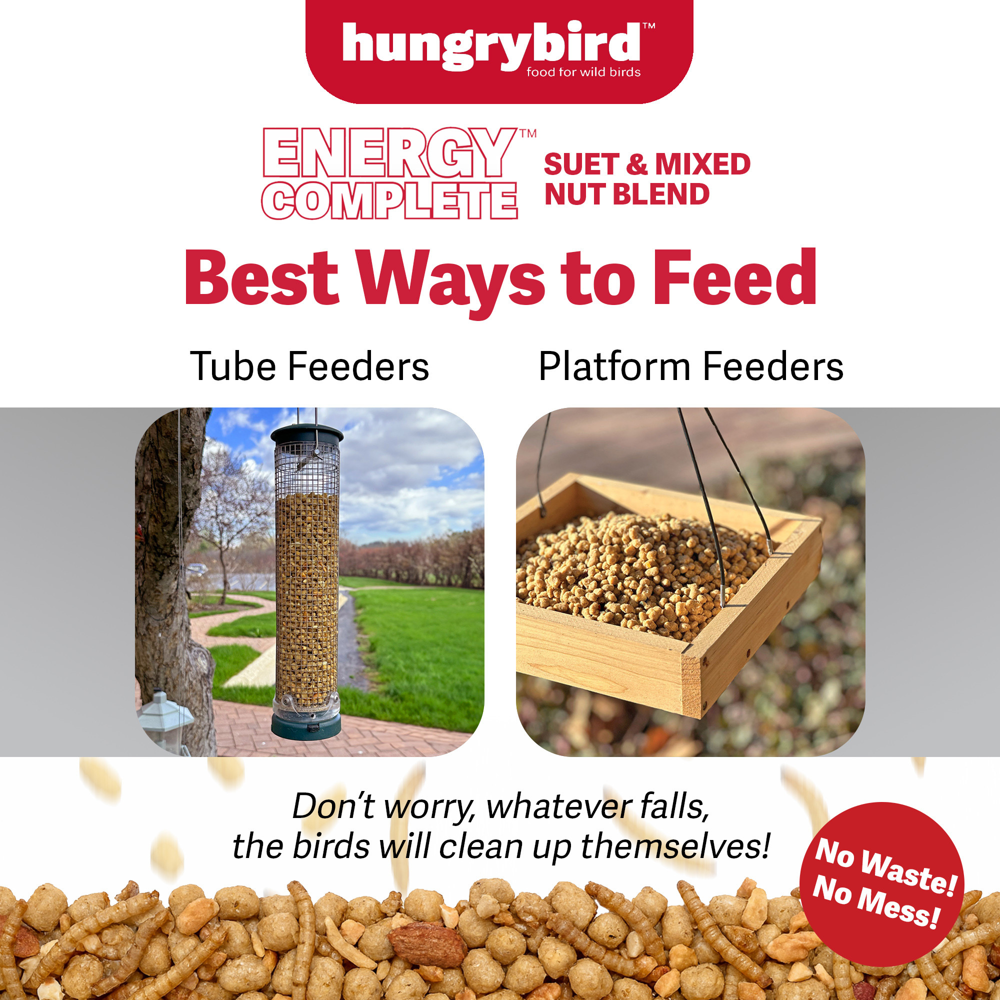 Hungrybird Energy Complete Diet, 7lb - All-Season Mealworm Suet & Mixed Nut Blend for Wild Birds