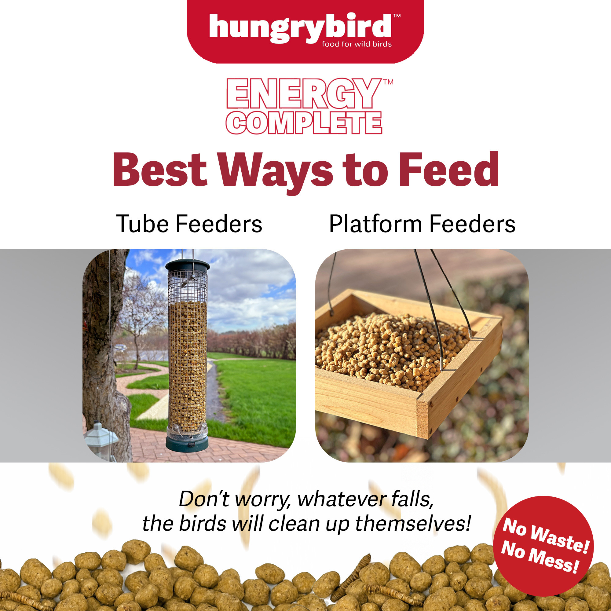 Hungrybird Energy Complete, 3lb - High-Protein Mealworm Suet Bites