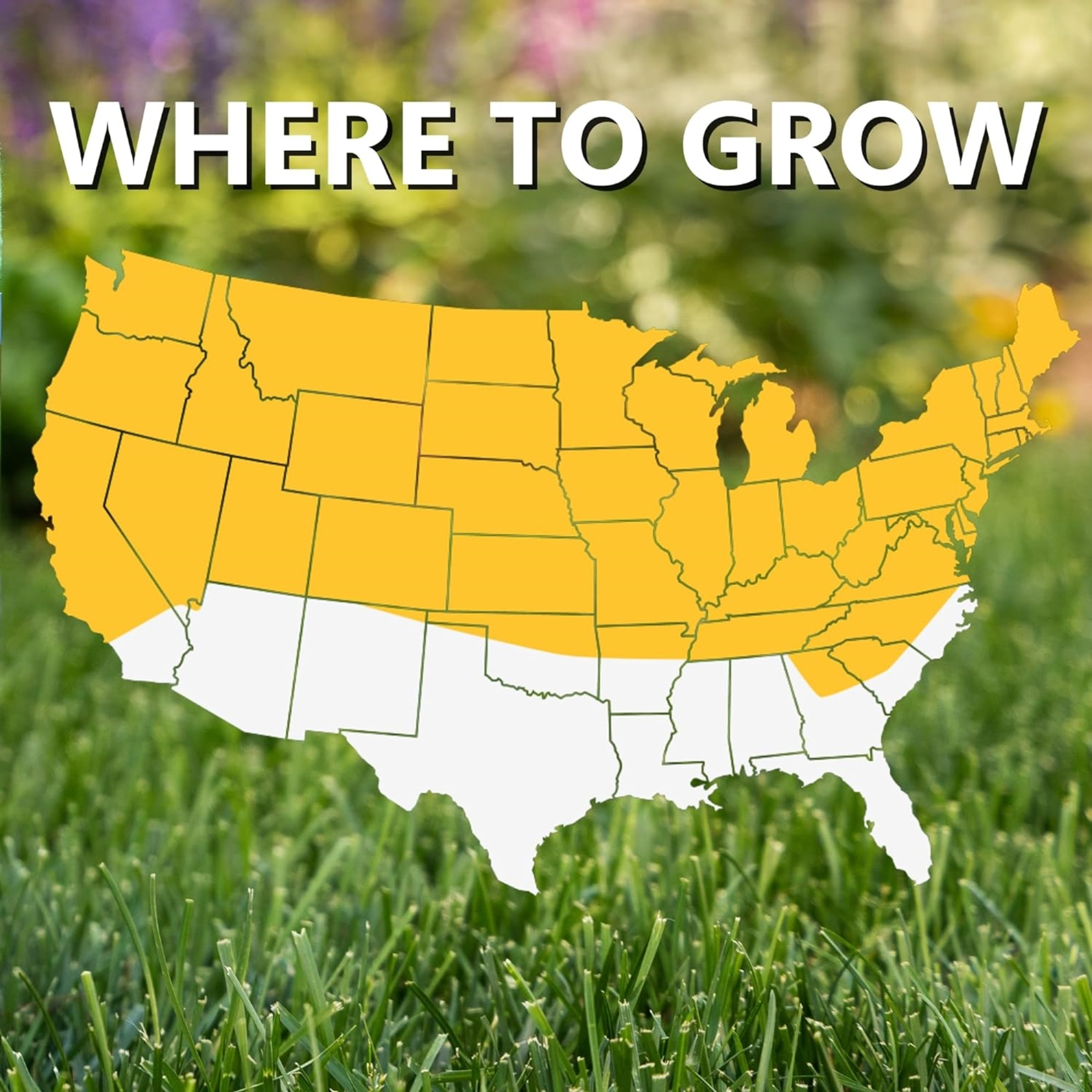 Jonathan Green Black Beauty Original Grass Seed Jonathan Green Black Beauty Original Grass Seed