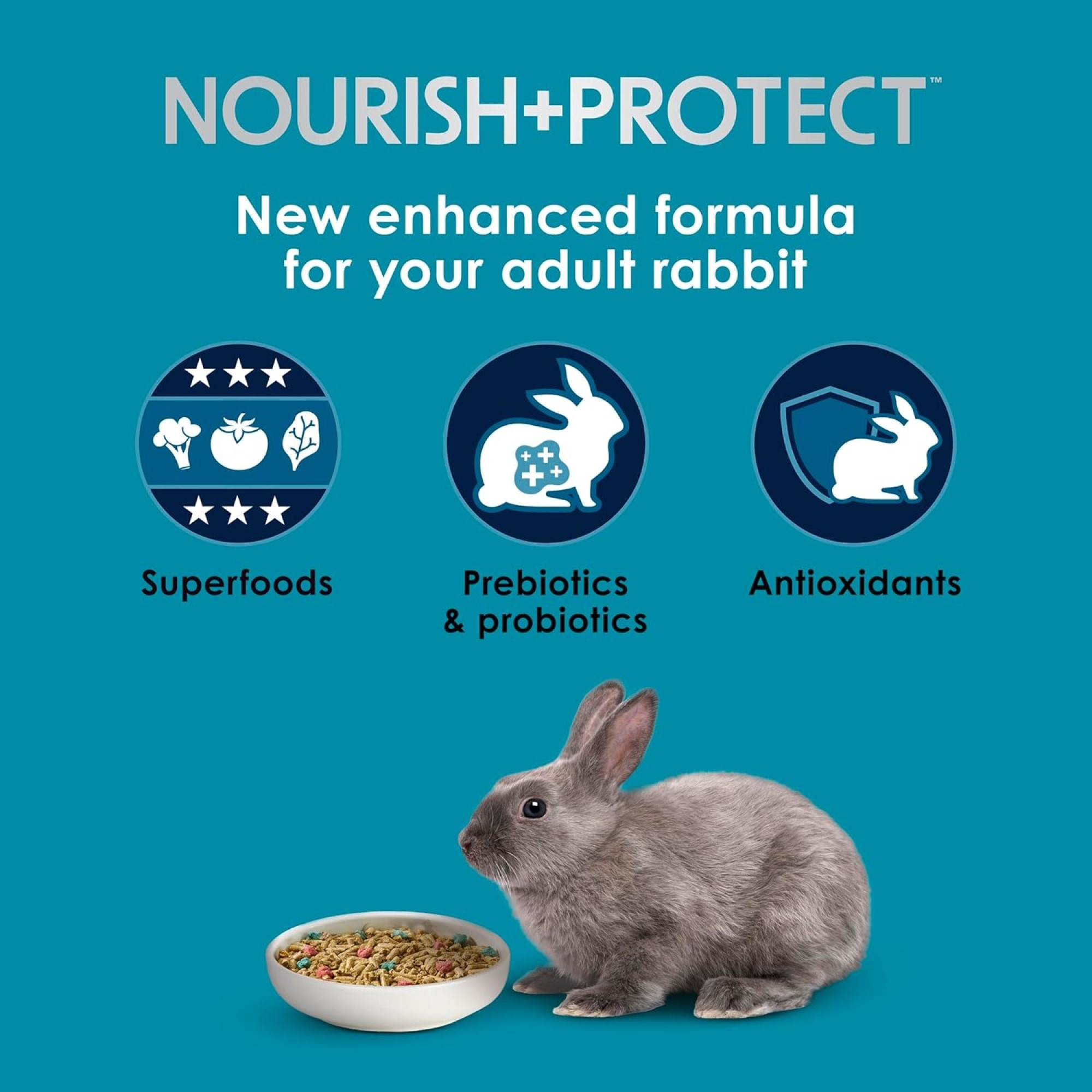 Kaytee Forti-Diet Pro Health Nourish + Protect Adult Rabbit Food, 20lbs