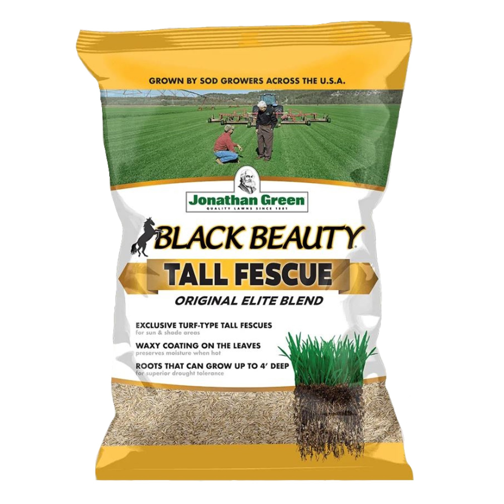 Jonathan Green Black Beauty Tall Fescue Grass Seed Blend