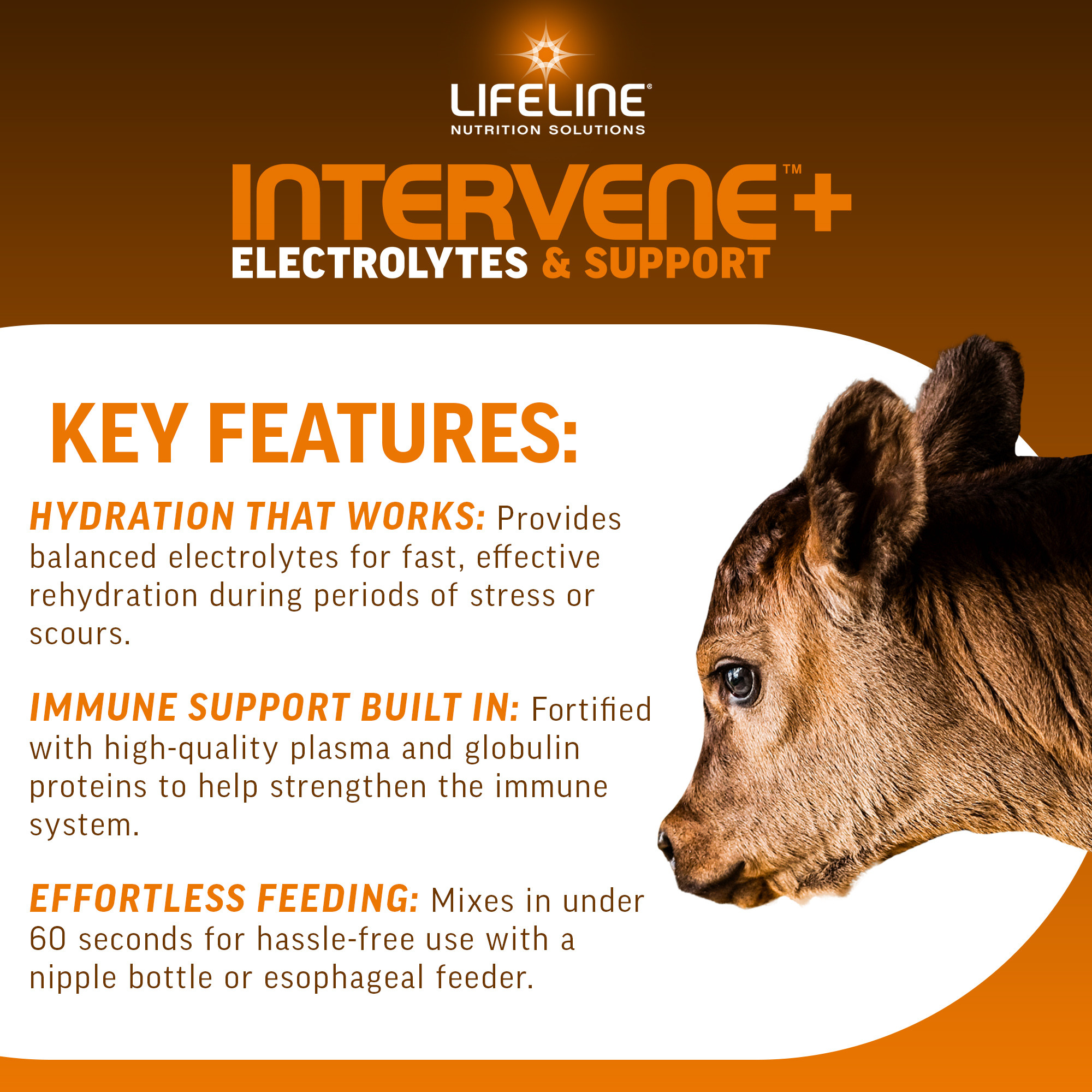 ANNUSO LIFELINE Intervene+ Electrolyte & Support Supplement for Calves