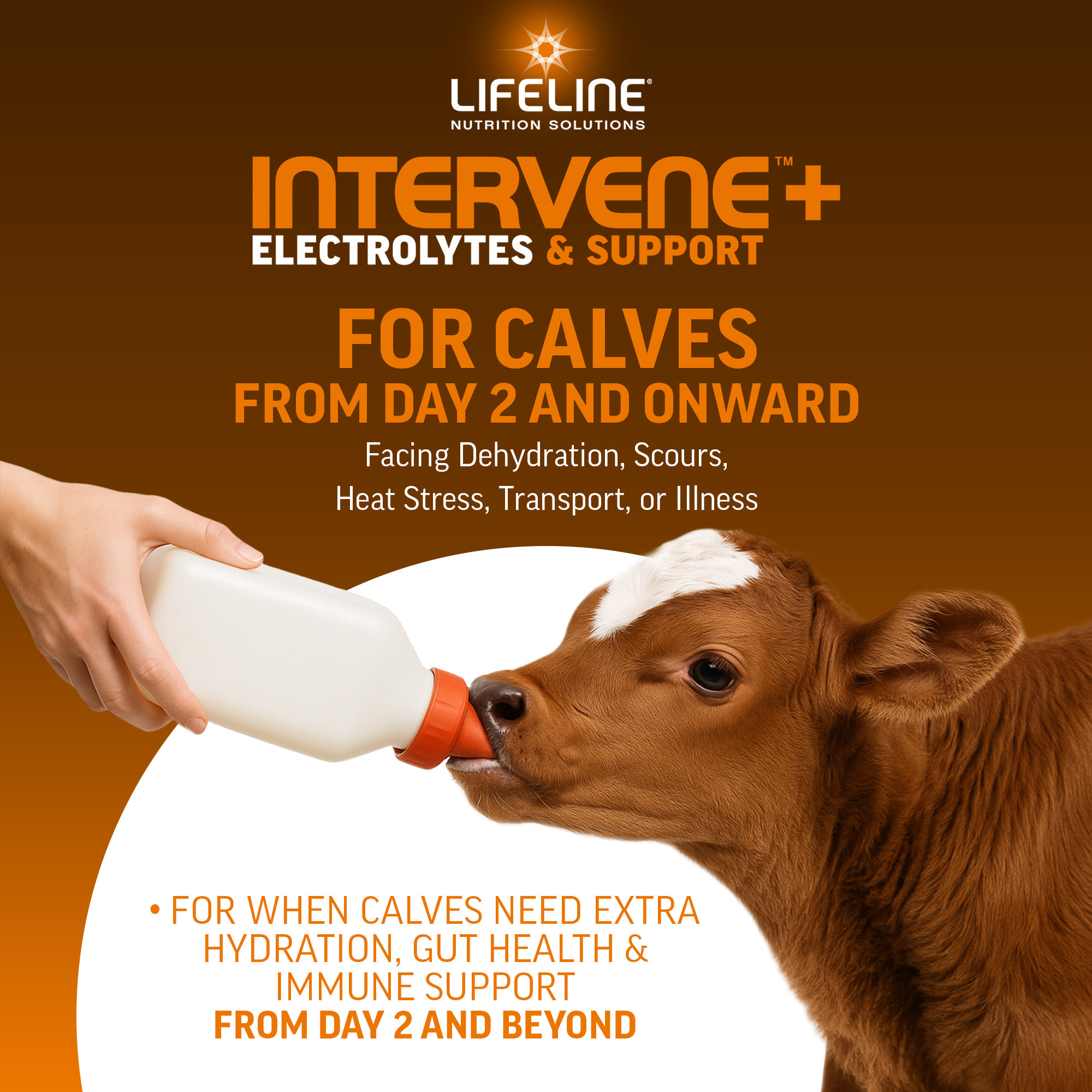 ANNUSO LIFELINE Intervene+ Electrolyte & Support Supplement for Calves