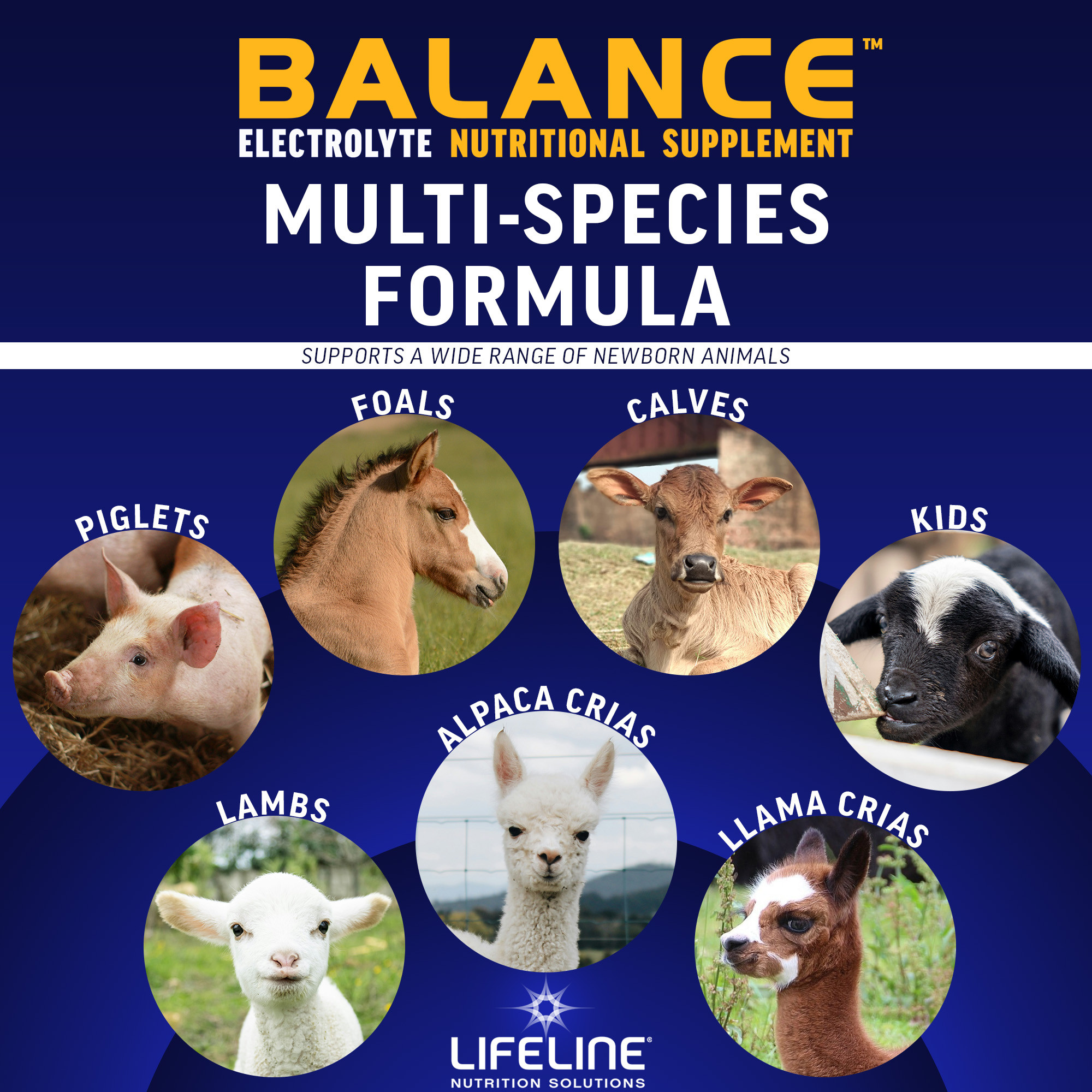 ANNUSO LIFELINE Balance Multi-Species Electrolyte Nutritional Supplement