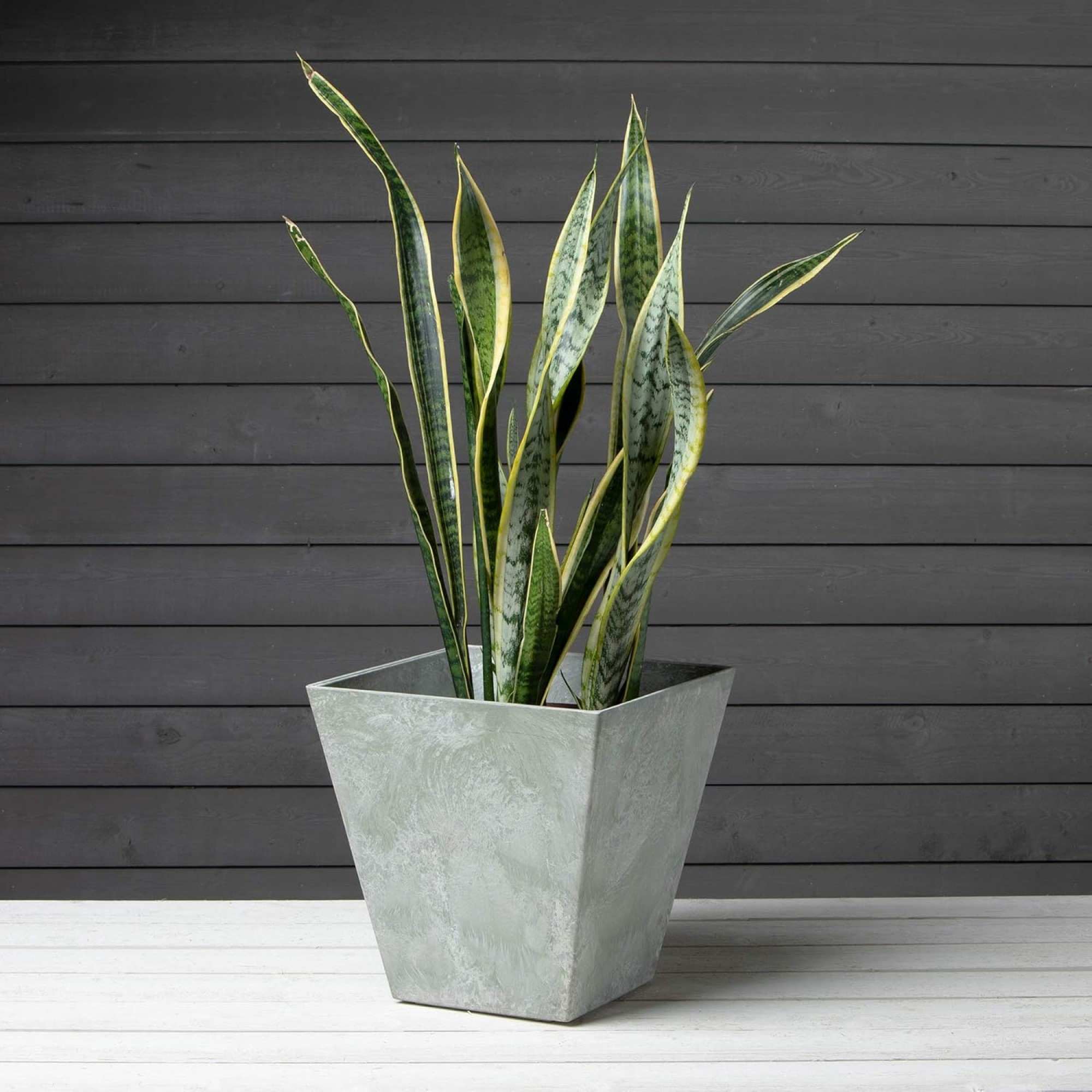 Novelty Ella Artstone Indoor/Outdoor Square Plastic Resin Planter with Water Minder System, Mint, 14in