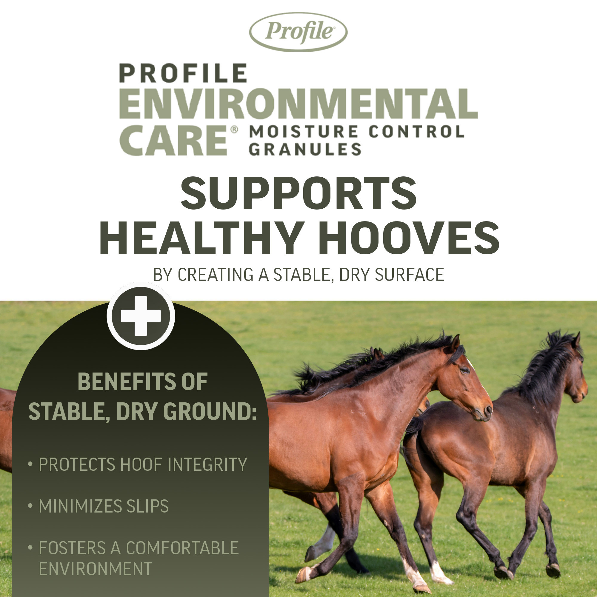 ANNUSO Profile Environmental Care Moisture Control Granules, 40lb Bag