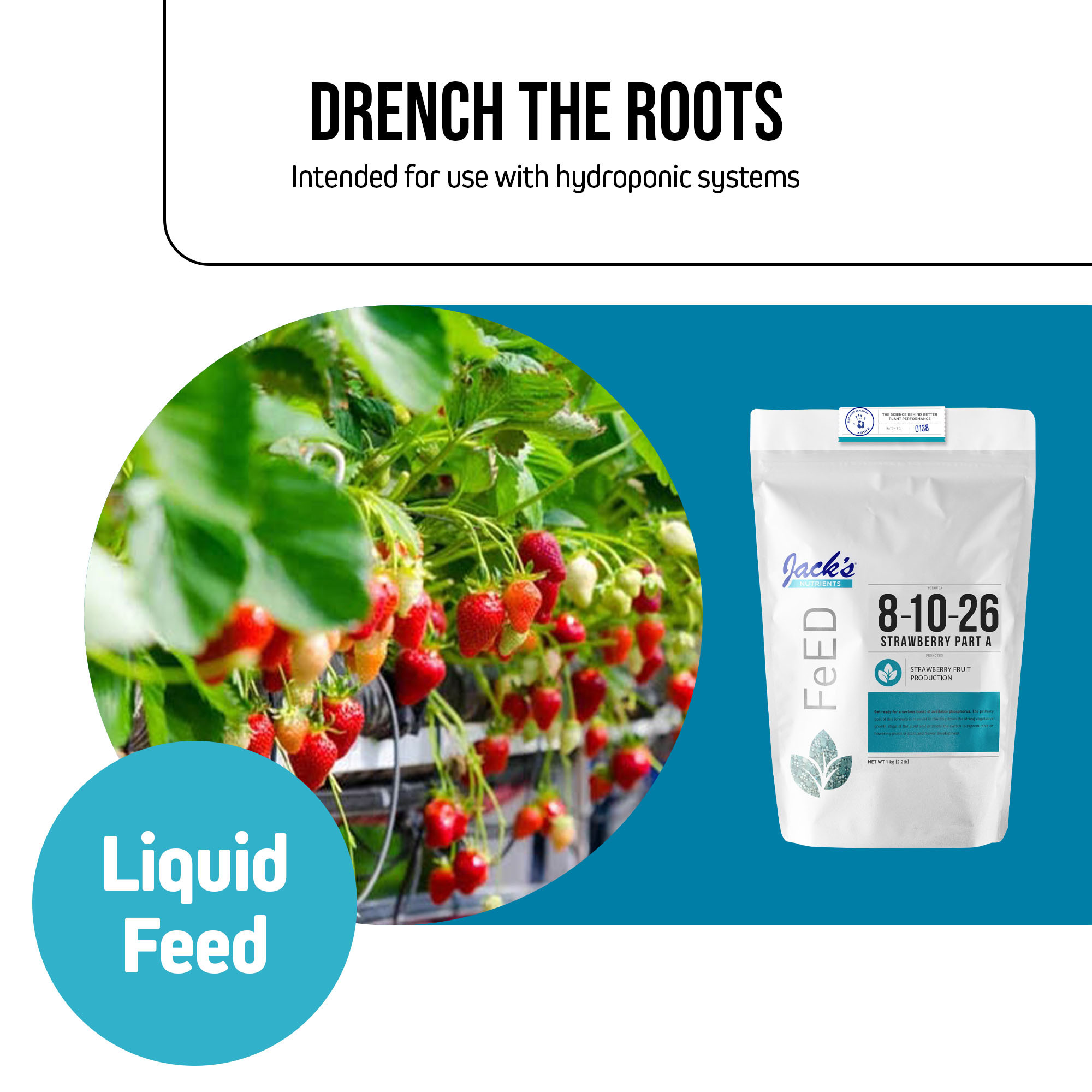Jack's Nutrients 8-10-16 Strawberry Part A Water-Soluble Fertilizer for Strawberry Fruit Production in Continuous Liquid Feed Program, 2.2lbs