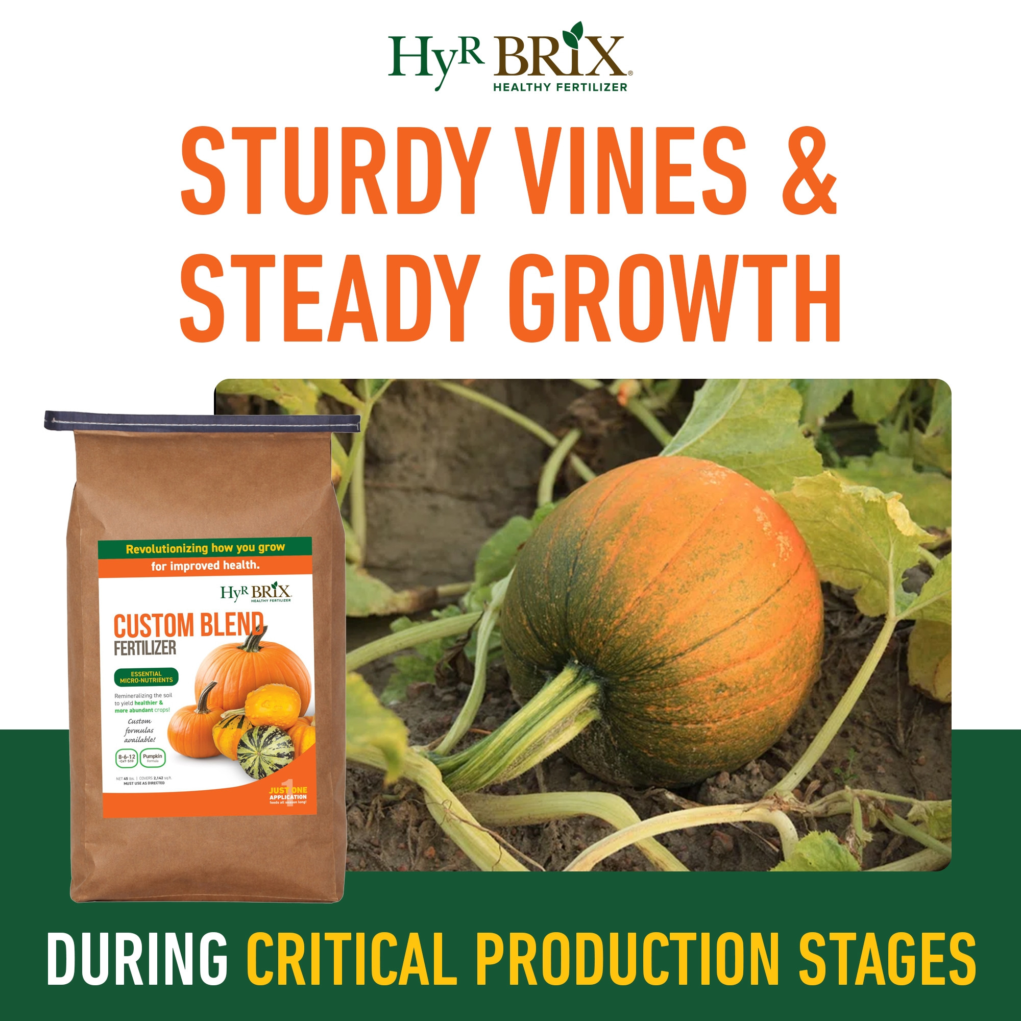 HyR Brix Custom Blend 8-6-12 Pumpkin Fertilizer Plant Food, 45lb Bag (Covers 2,142 Sq Ft)