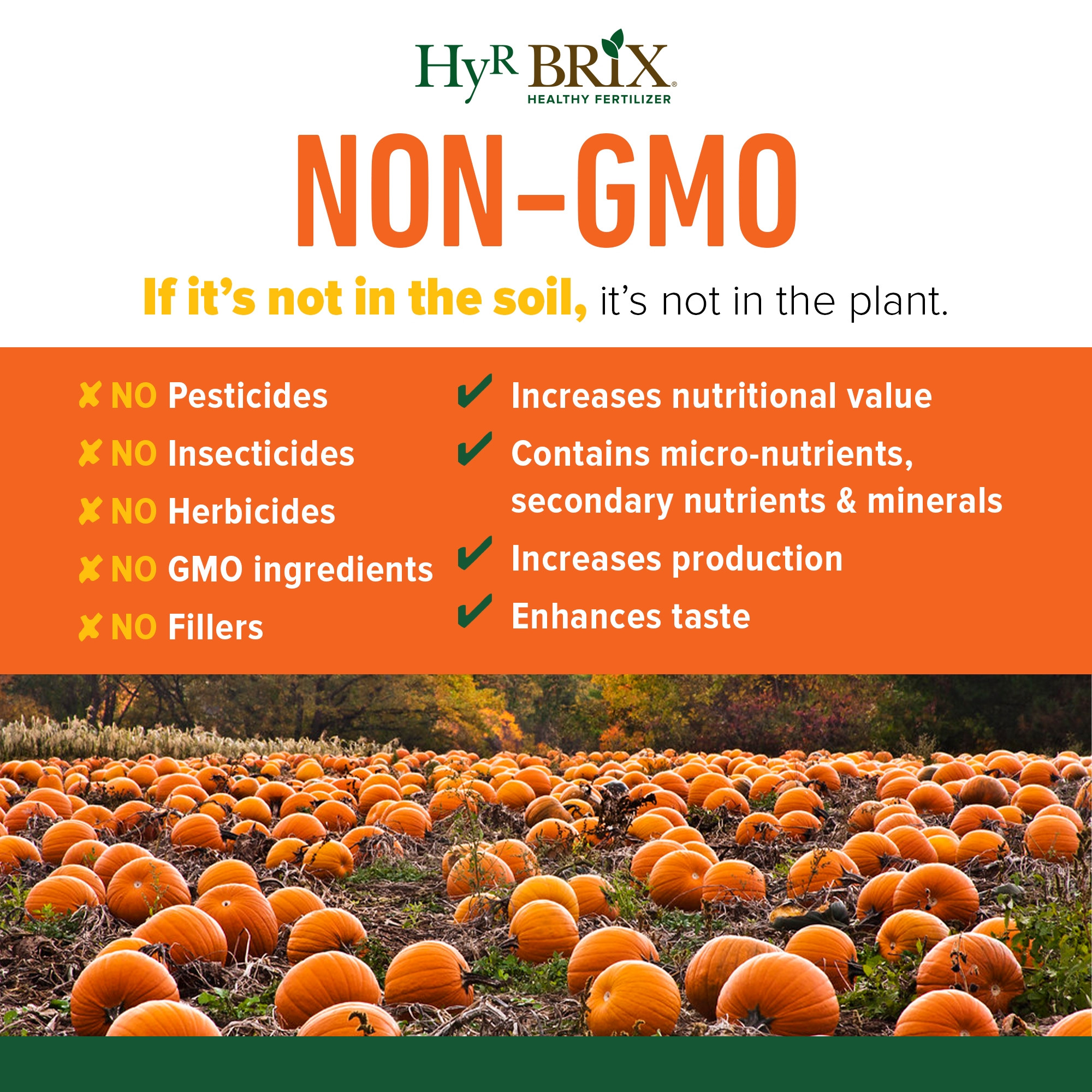 HyR Brix Custom Blend 8-6-12 Pumpkin Fertilizer Plant Food, 45lb Bag (Covers 2,142 Sq Ft)