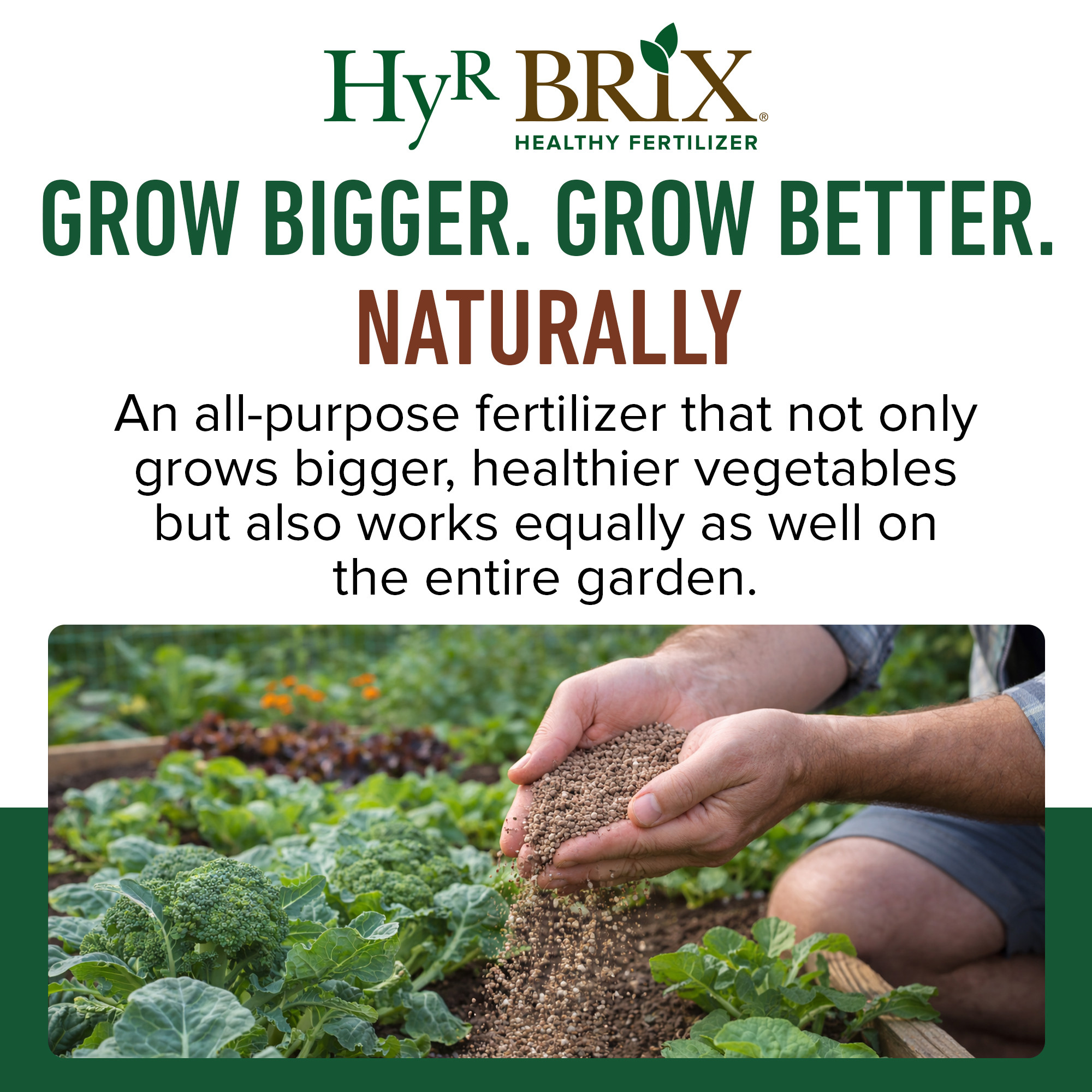 HyR BRIX All Natural & Organic 1-1-8 Vegetable Garden Fertilizer