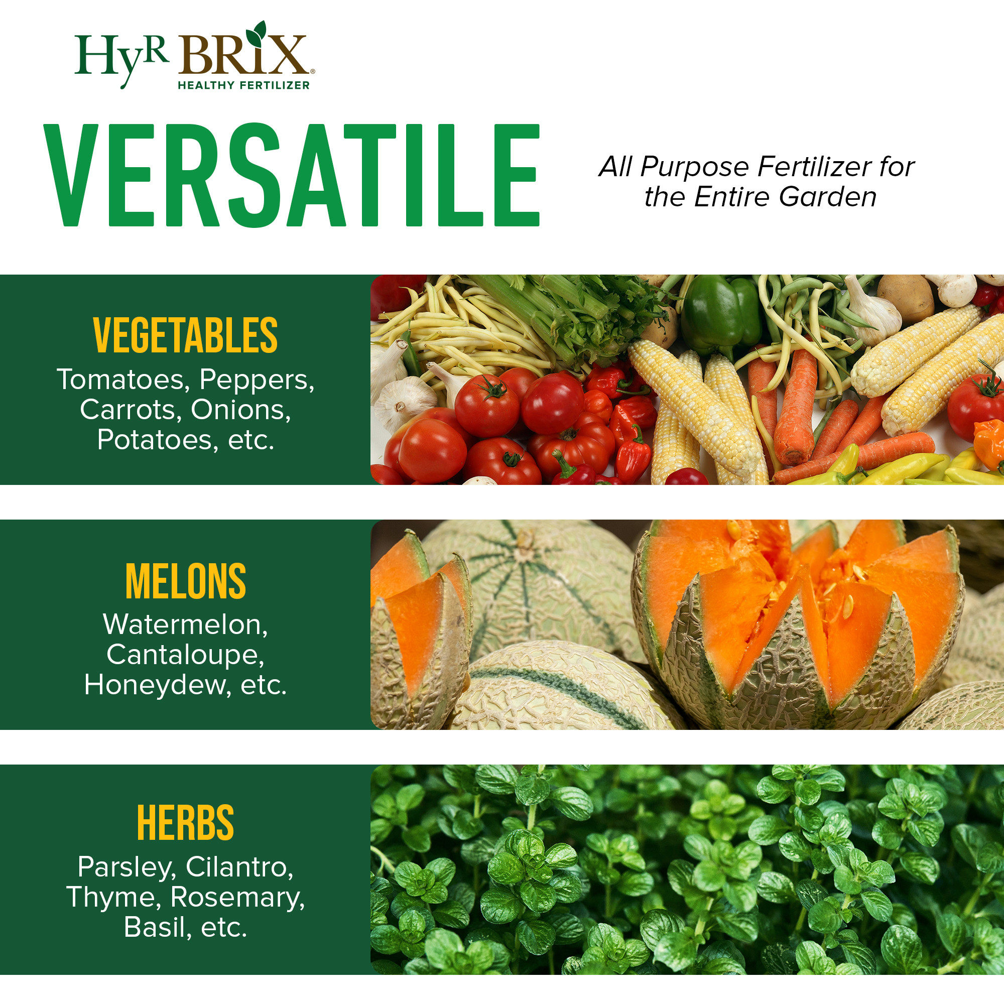 HyR BRIX Slow-Release 4-7-9 Vegetable Garden Fertilizer