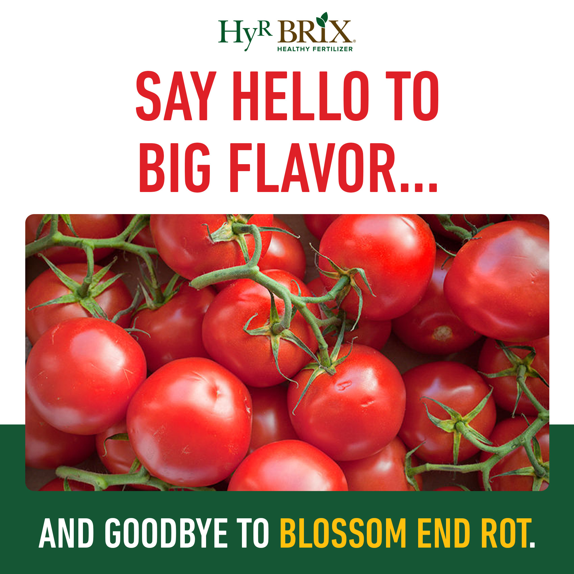 HyR BRIX Slow-Release 5-8-10 Tomato Fertilizer