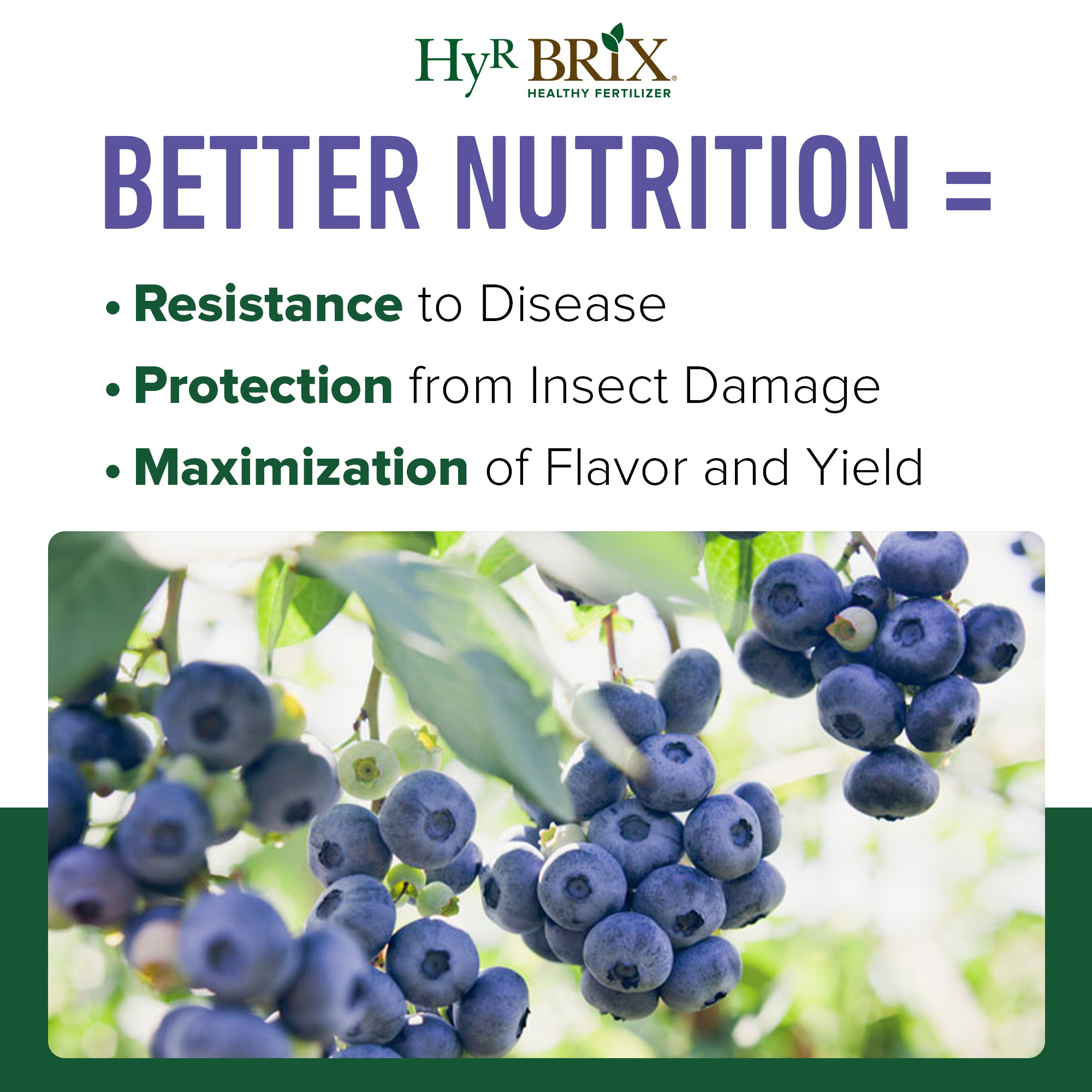 HyR BRIX Slow-Release 6-8-9 Fruit & Berry Fertilizer