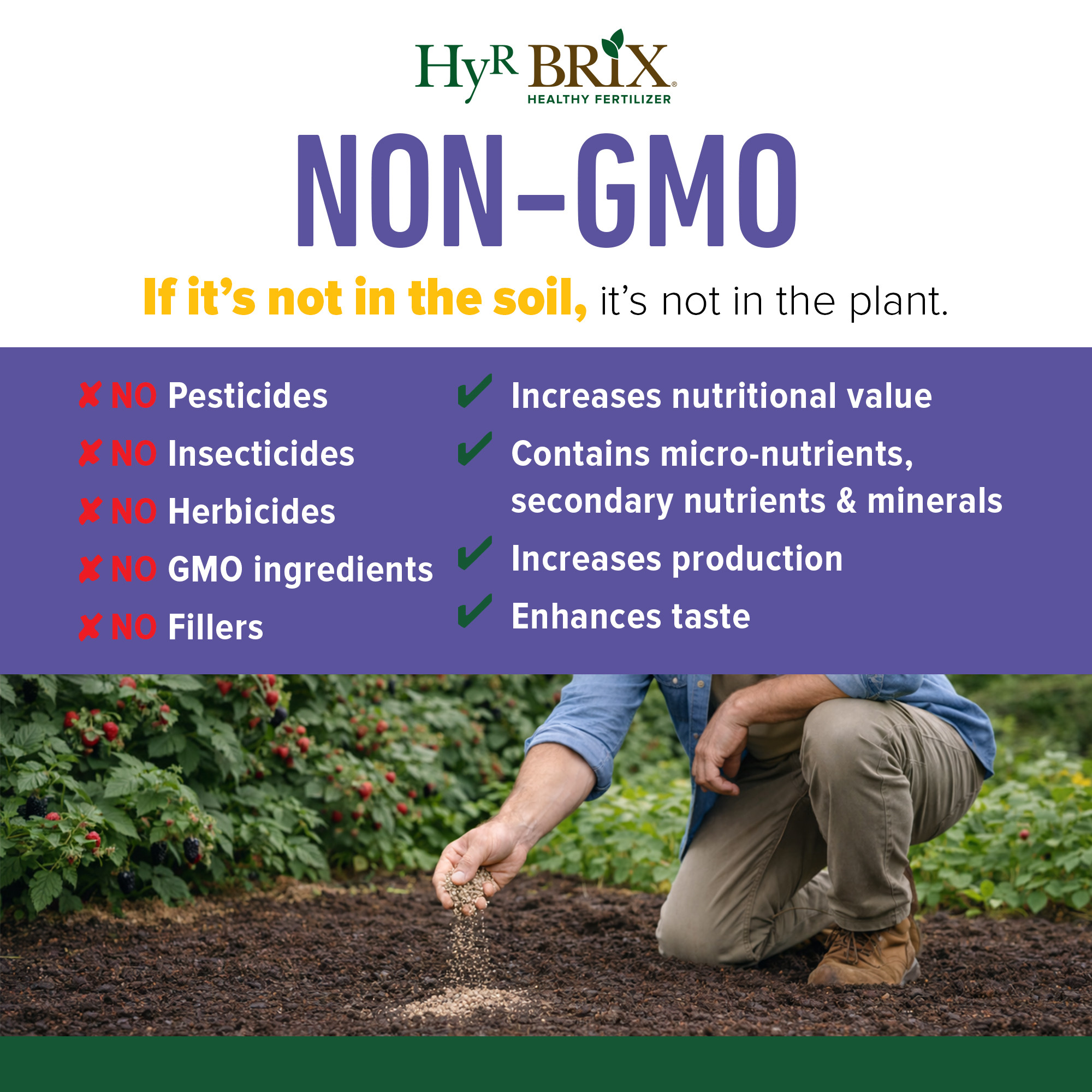 HyR BRIX Slow-Release 6-8-9 Fruit & Berry Fertilizer