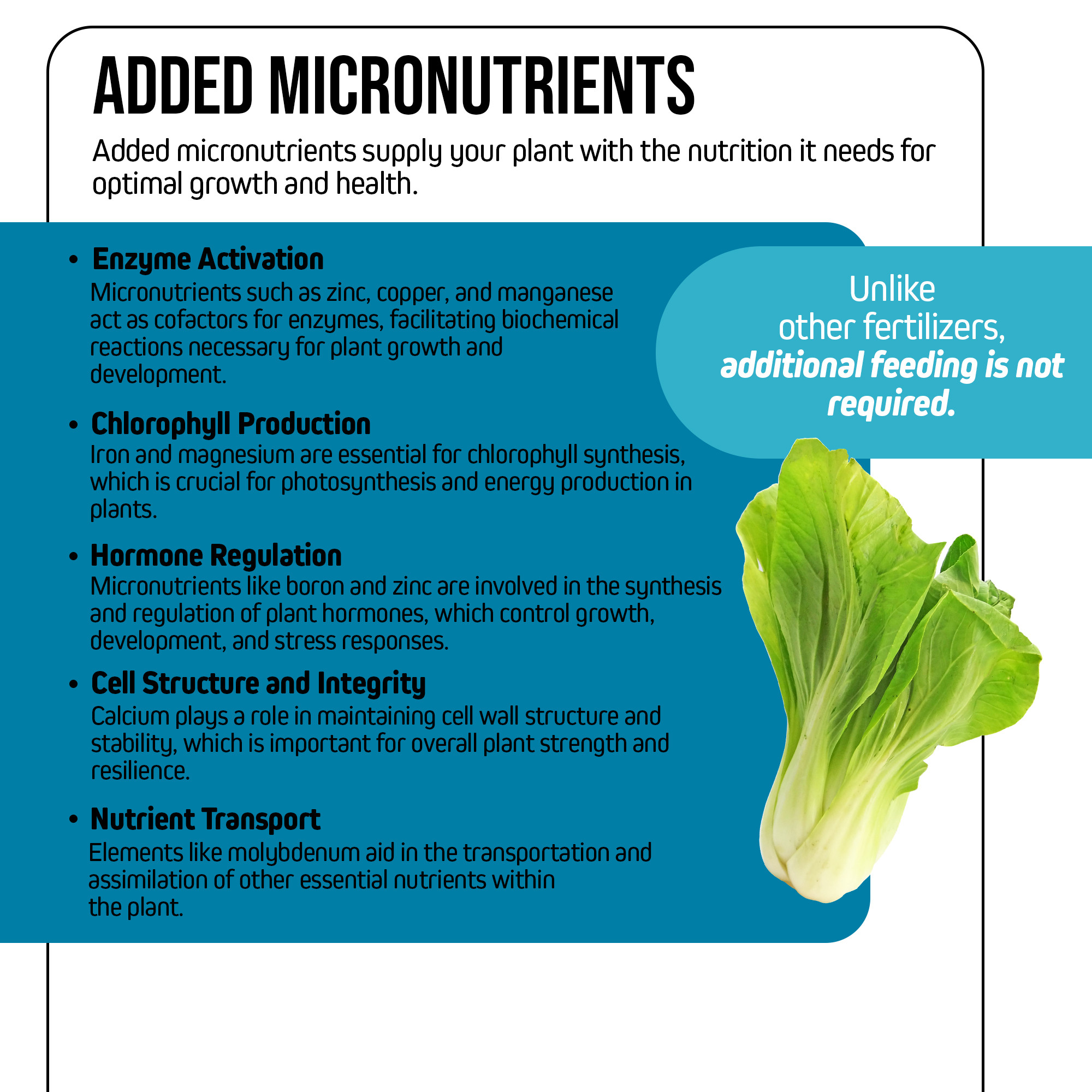 Jack’s Nutrients 6-6-26 Low Phos Part A Water-Soluble Fertilizer, 25lbs
