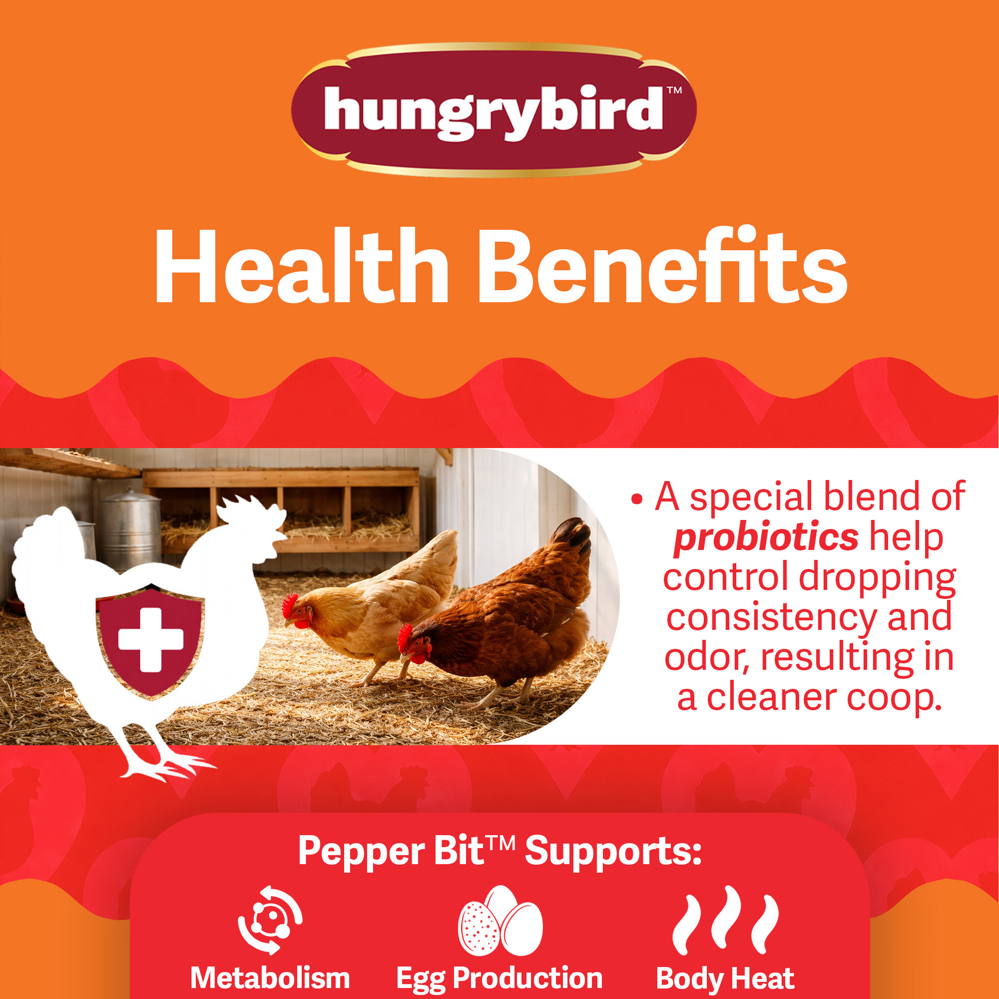 Hungrybird Red Pepper Bits, 1.75lbs – All-Natural Suet Poultry Treats