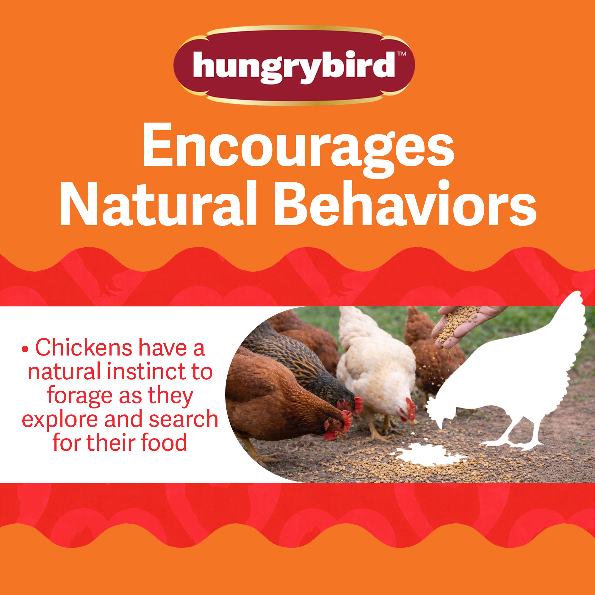 Hungrybird Red Pepper Bits, 1.75lbs – All-Natural Suet Poultry Treats