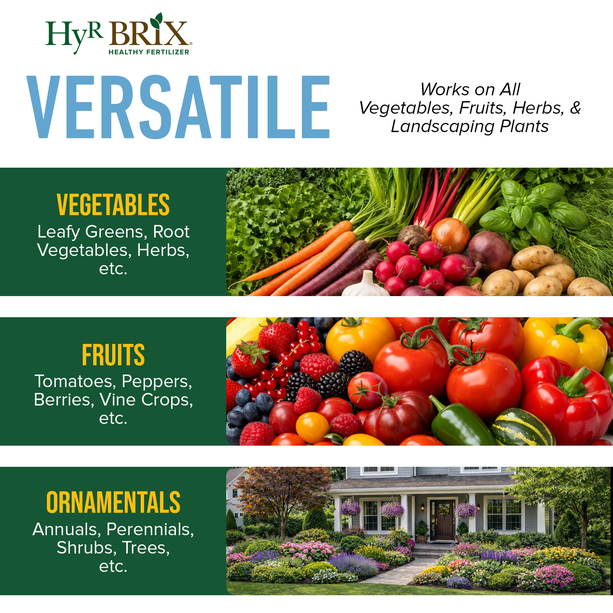 HyR BRIX All-Purpose Liquid 4-3-3 Fertilizer