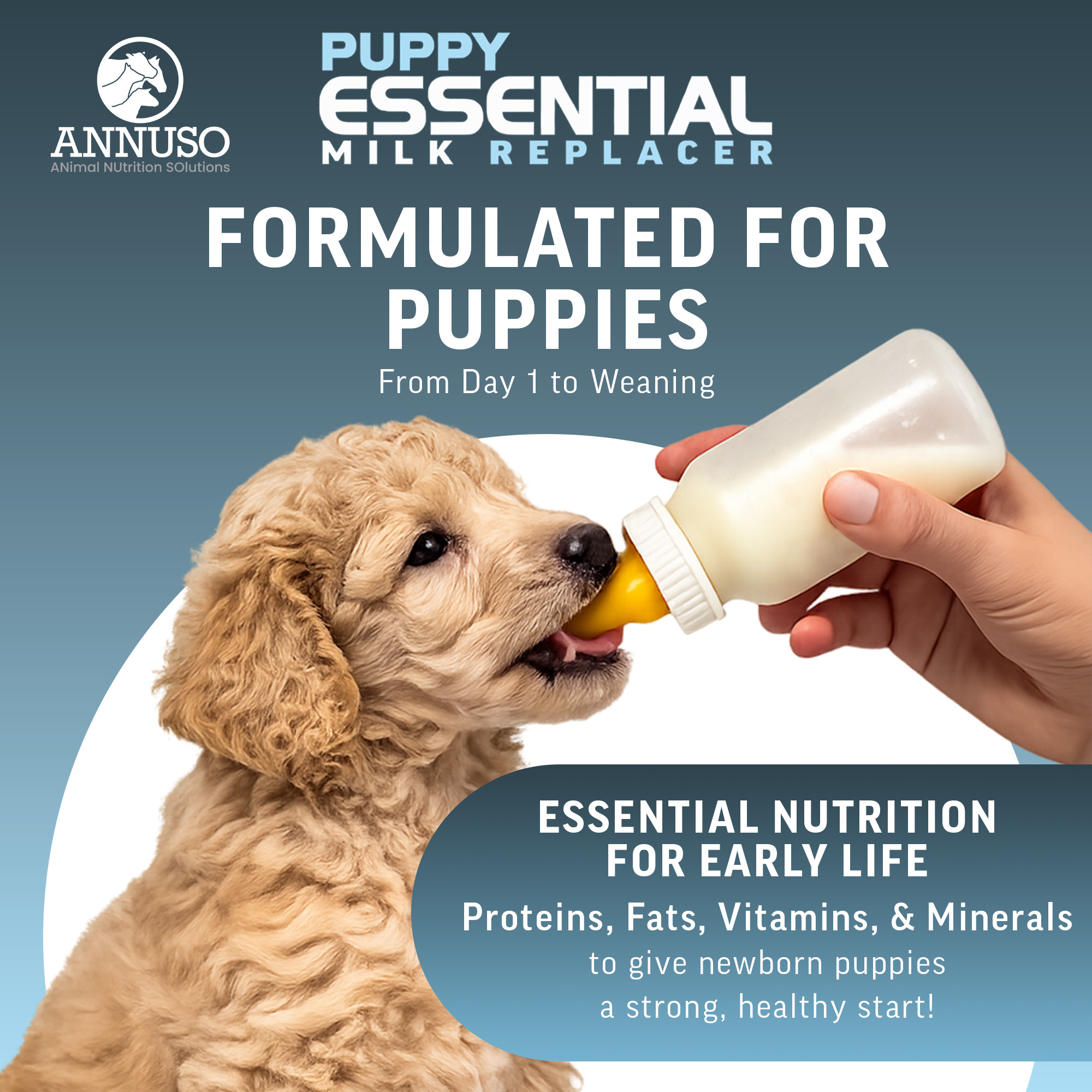 ANNUSO Puppy Essential Milk Replacer to Support Immunity & Digestion, 12oz