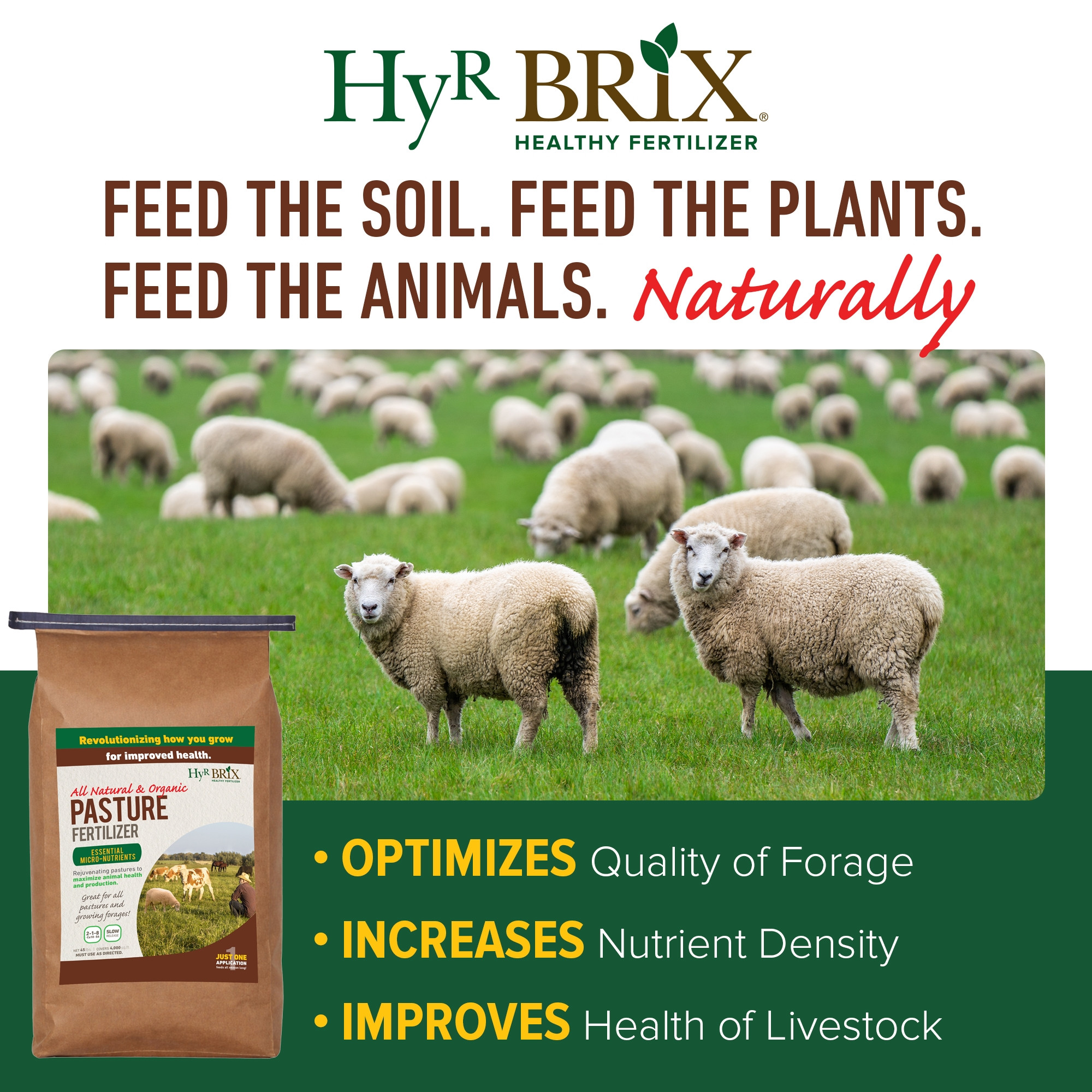 HyR BRIX All Natural & Organic 2-1-8 Pasture Fertilizer, 45lb Bag (Covers 4,000 Sq Ft)