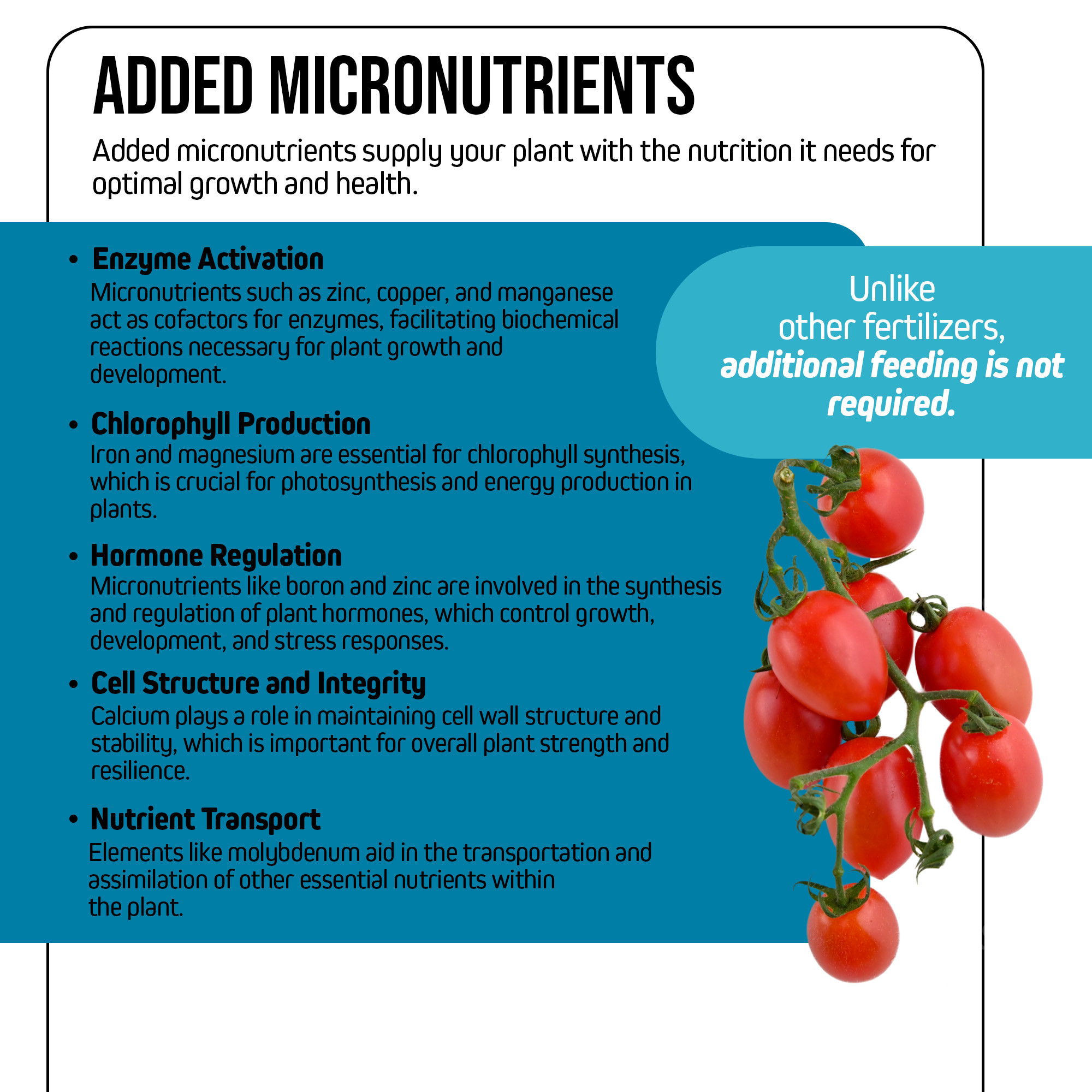 Jack’s Nutrients 0-12-26 Part A Water-Soluble Fertilizer