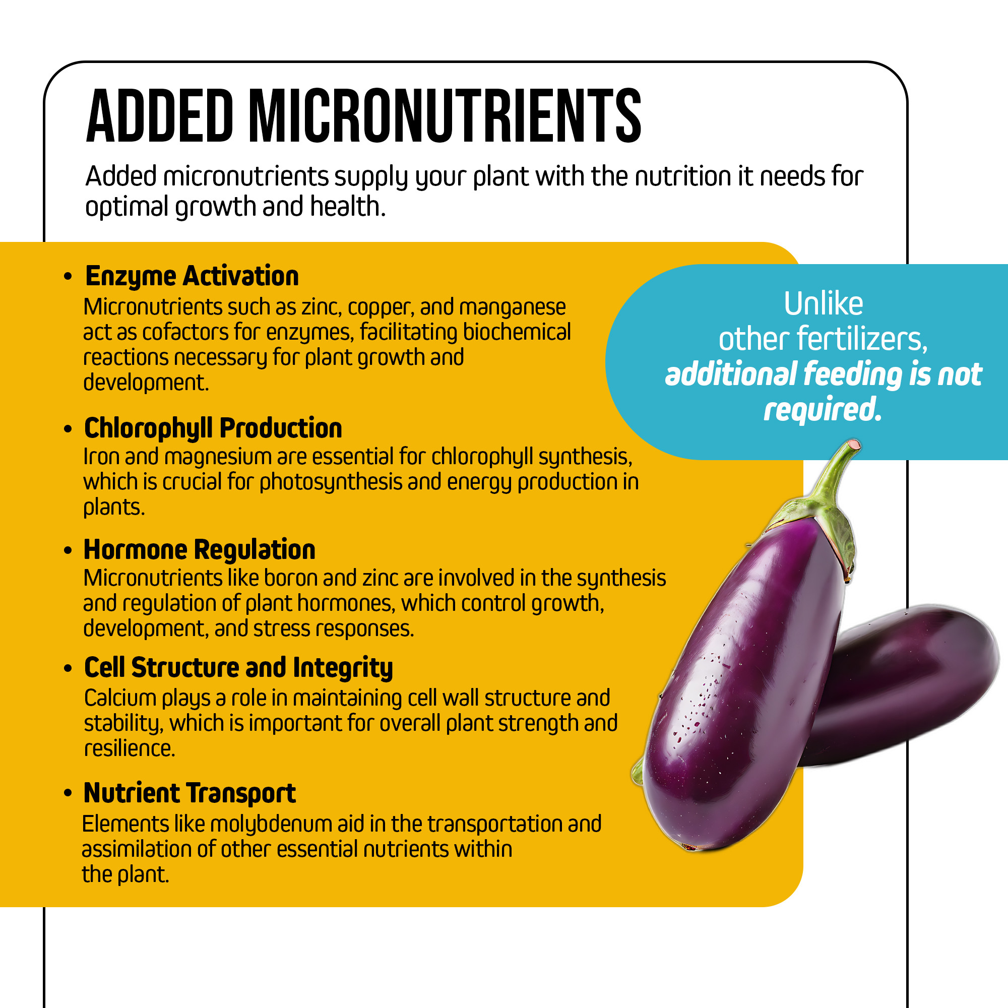 Jack’s Nutrients 14-5-38 K-Trate Water-Soluble Fertilizer, 25lbs