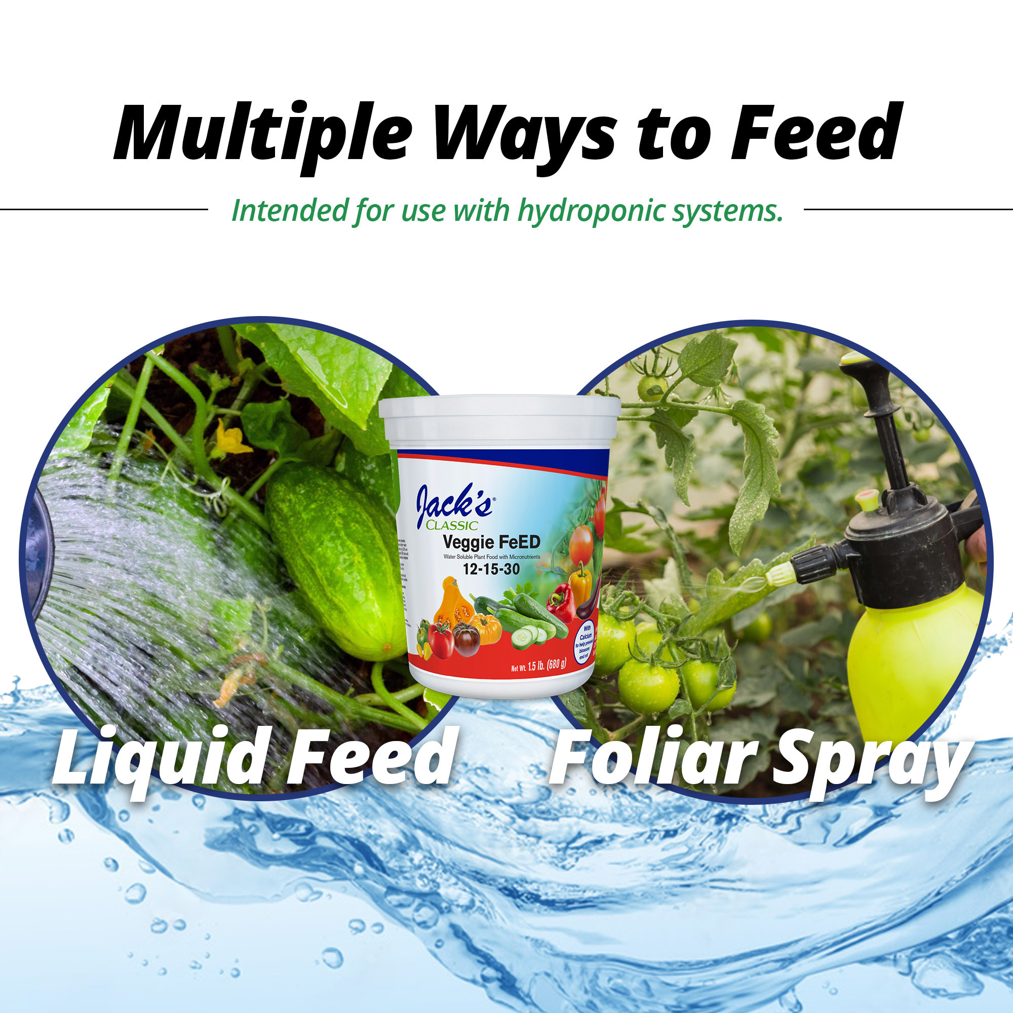 Jack's Classic 12-15-30 Veggie FeED Water-Soluble Fertilizer