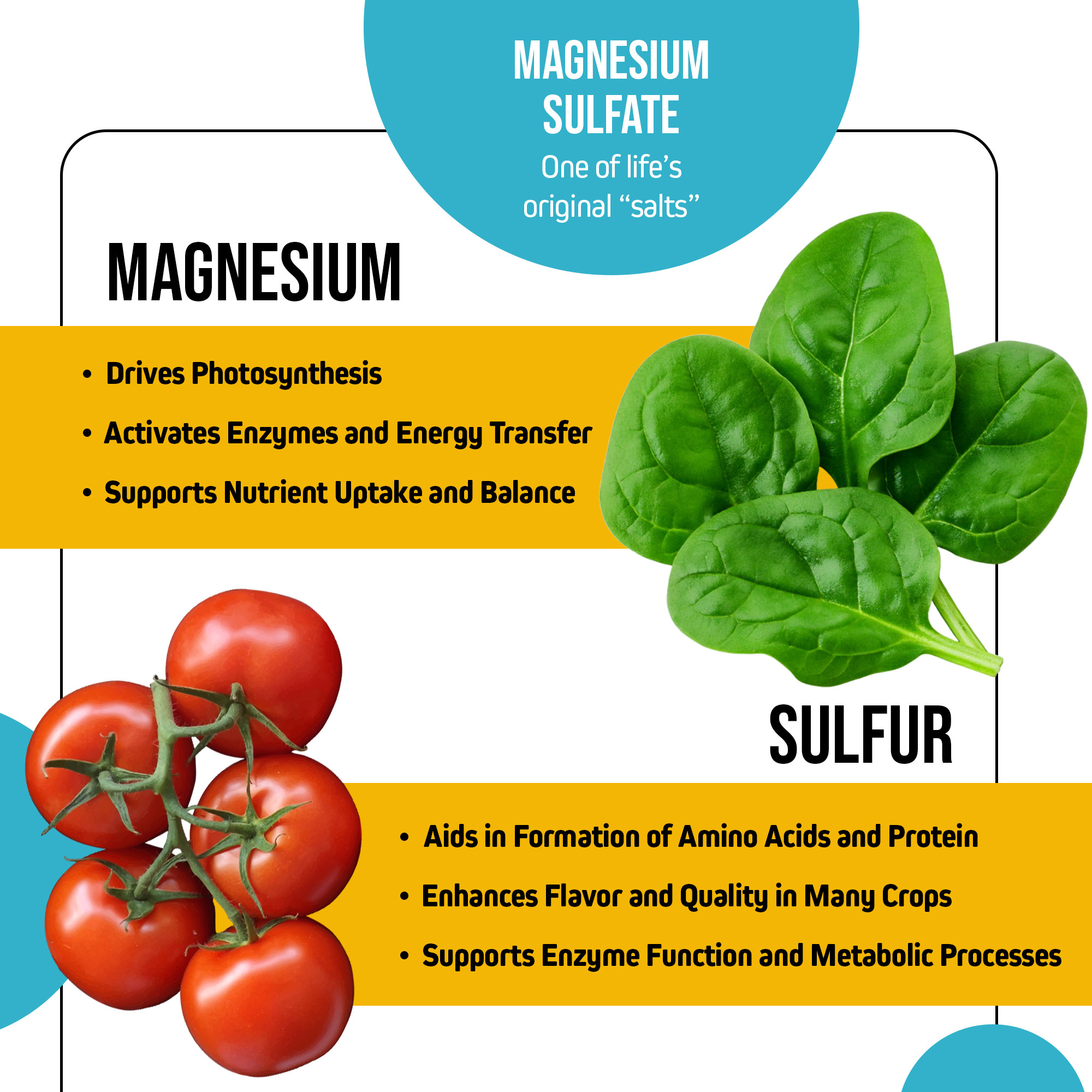 Jack’s Nutrients Magnesium Sulfate Epsom Salts Water-Soluble Fertilizer