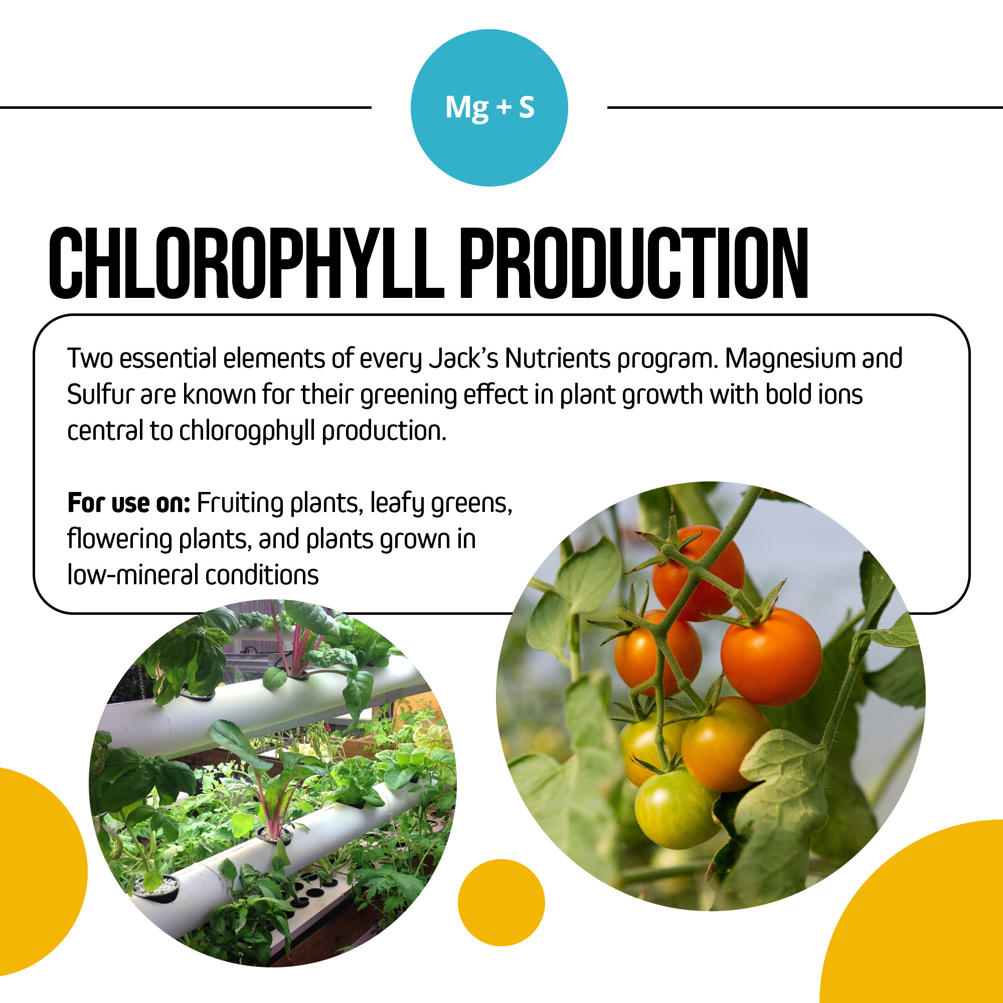 Jack’s Nutrients Magnesium Sulfate Epsom Salts Water-Soluble Fertilizer