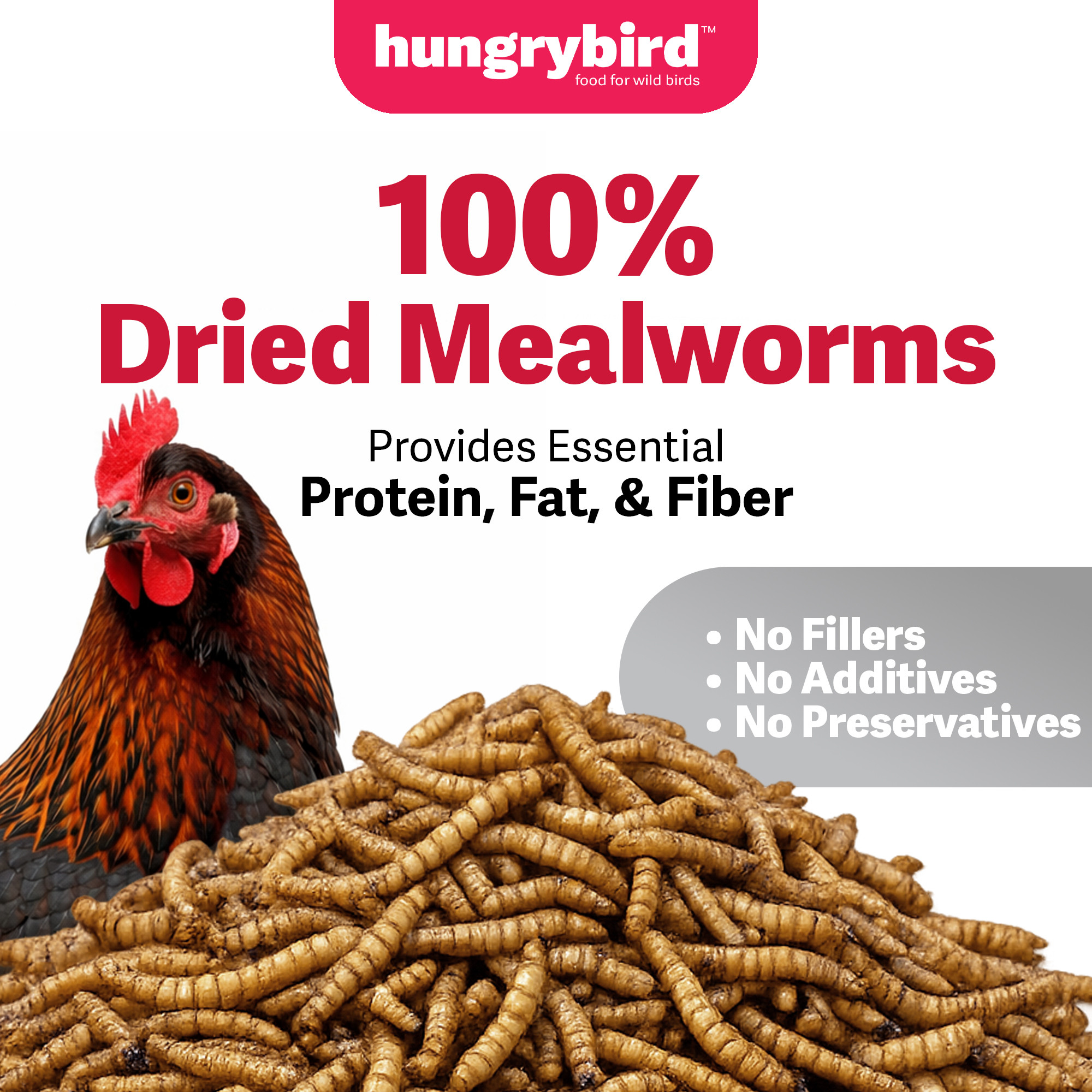 Hungrybird Dried Mealworms - High Protein Poultry Treats for Backyard Chickens