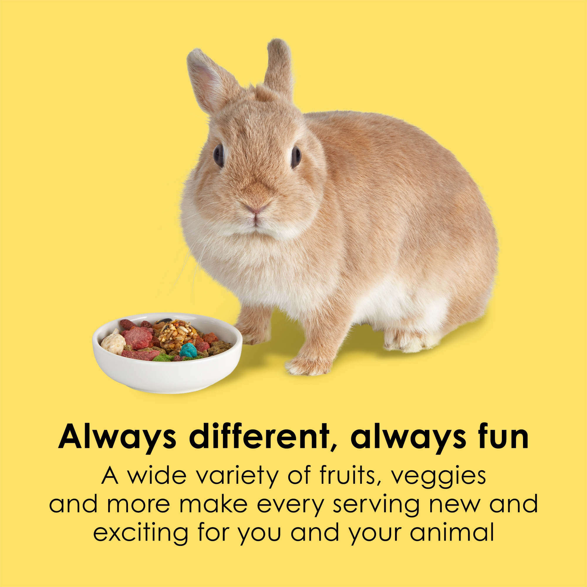 Kaytee Fiesta Rabbit Food Mix, 25lbs – Supports Immune Health and Digestion