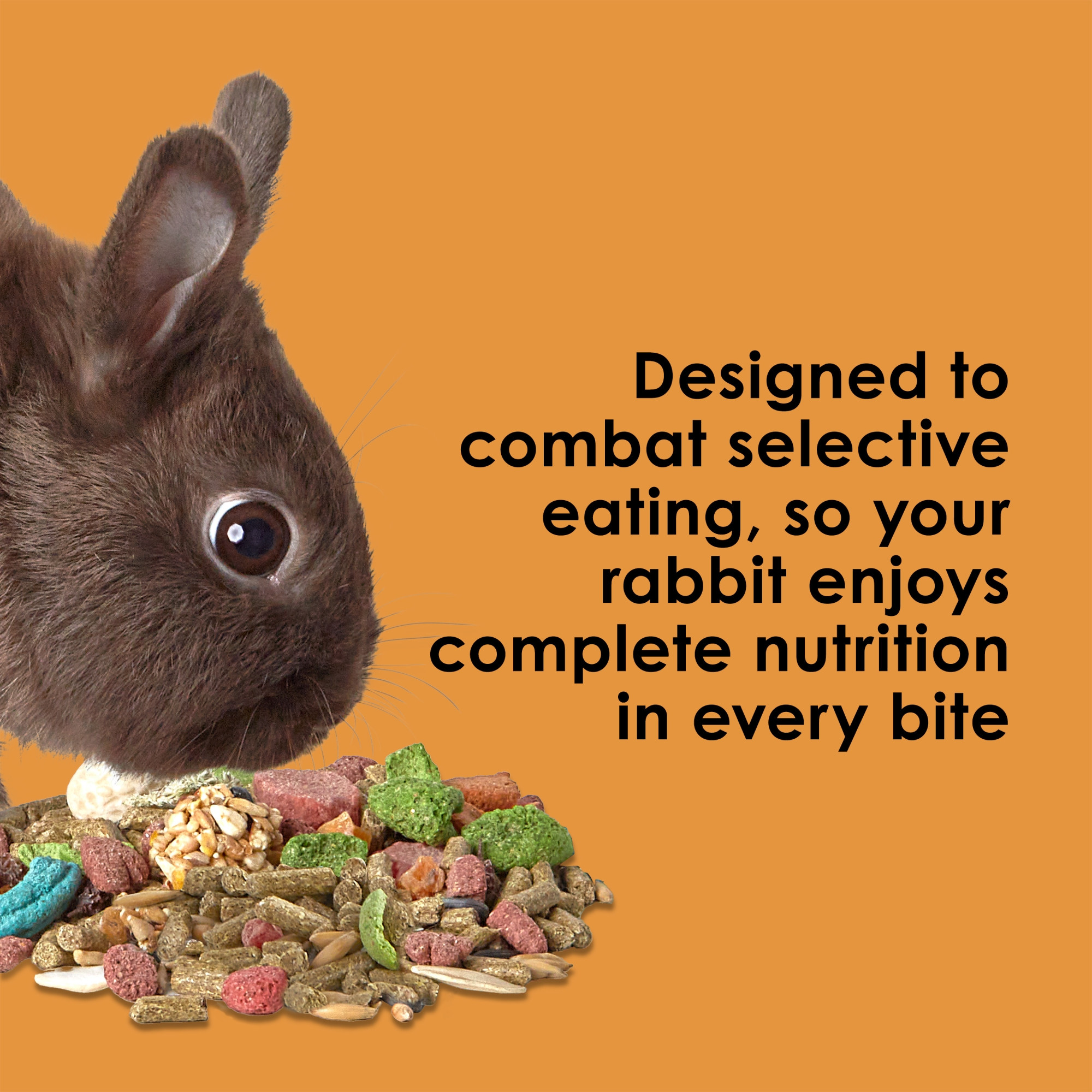 Kaytee Fiesta Rabbit Food Mix, 25lbs – Supports Immune Health and Digestion